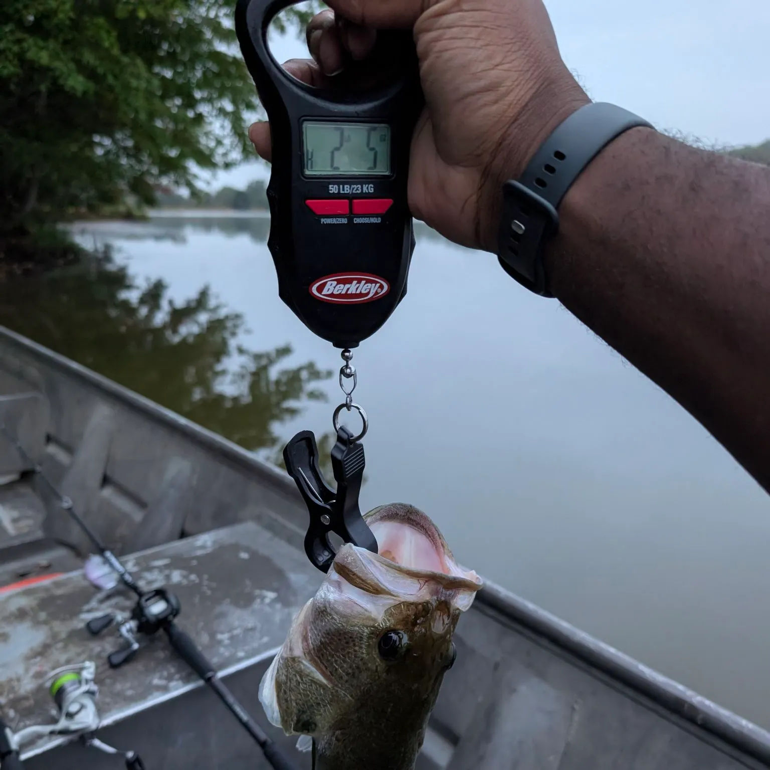 Largemouth bass caught on Fishbrain