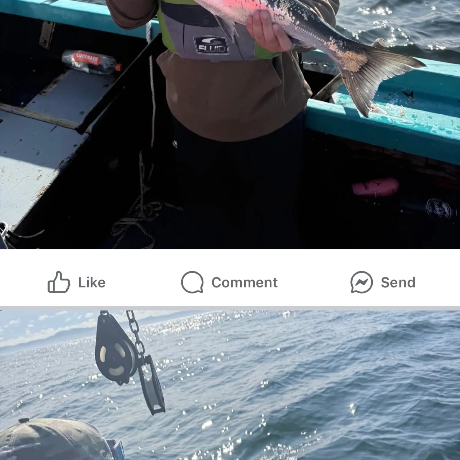 recently logged catches