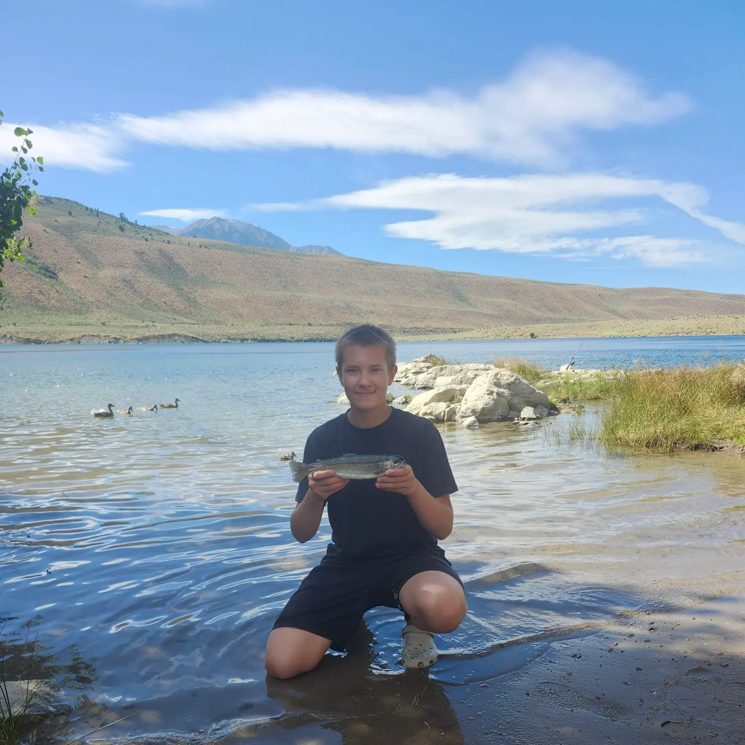 Rainbow trout caught on Fishbrain
