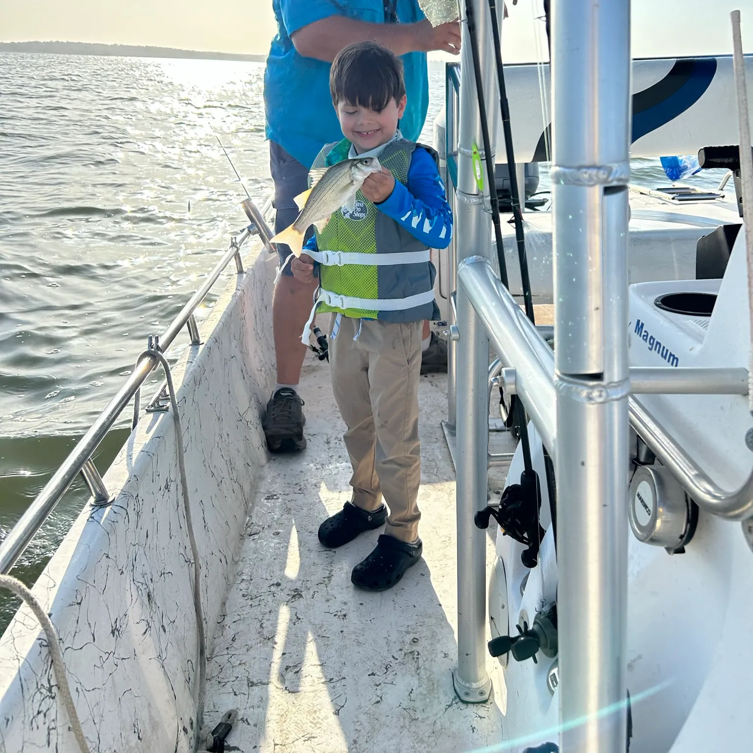 The most recent White bass catches on Fishbrain