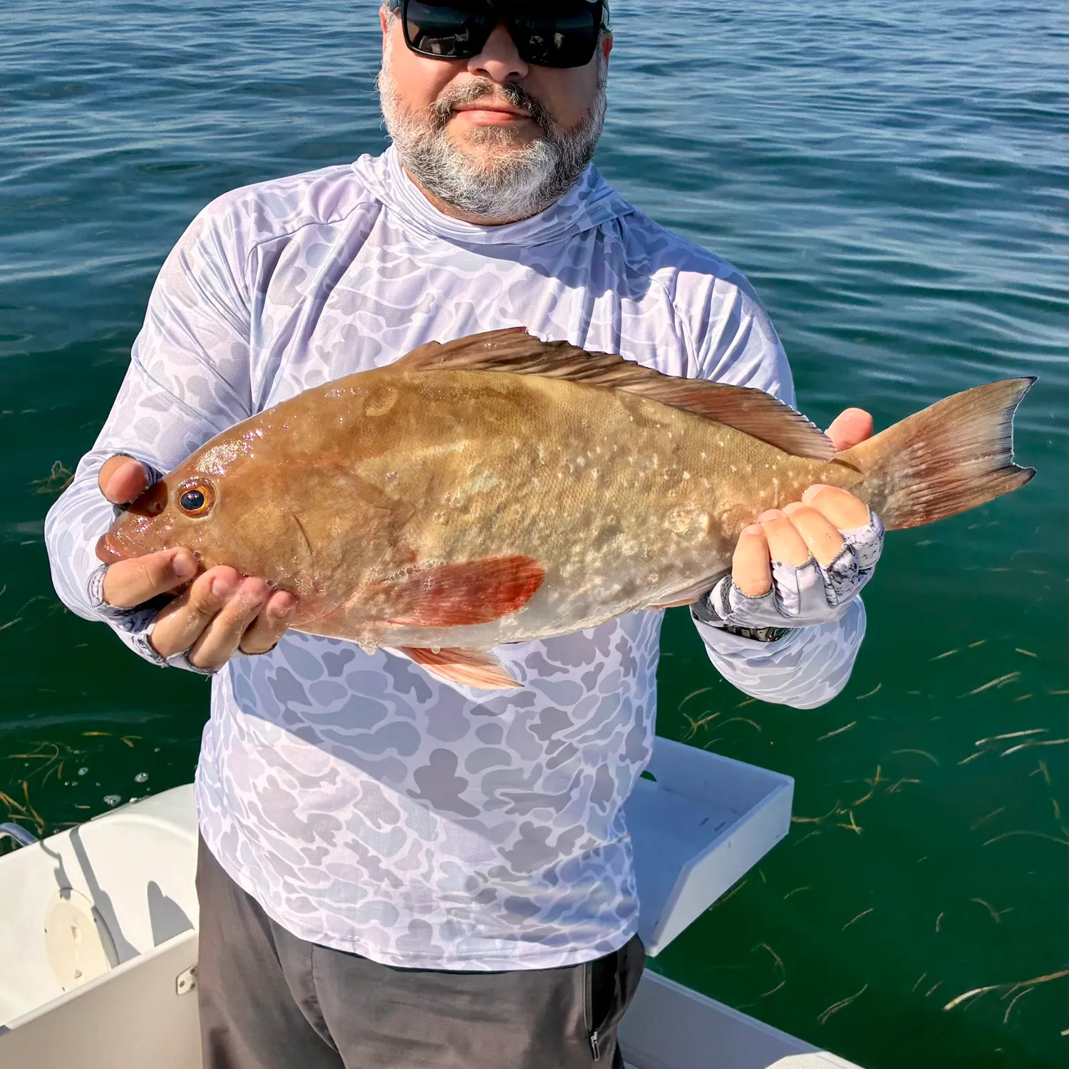 Red grouper caught on Fishbrain