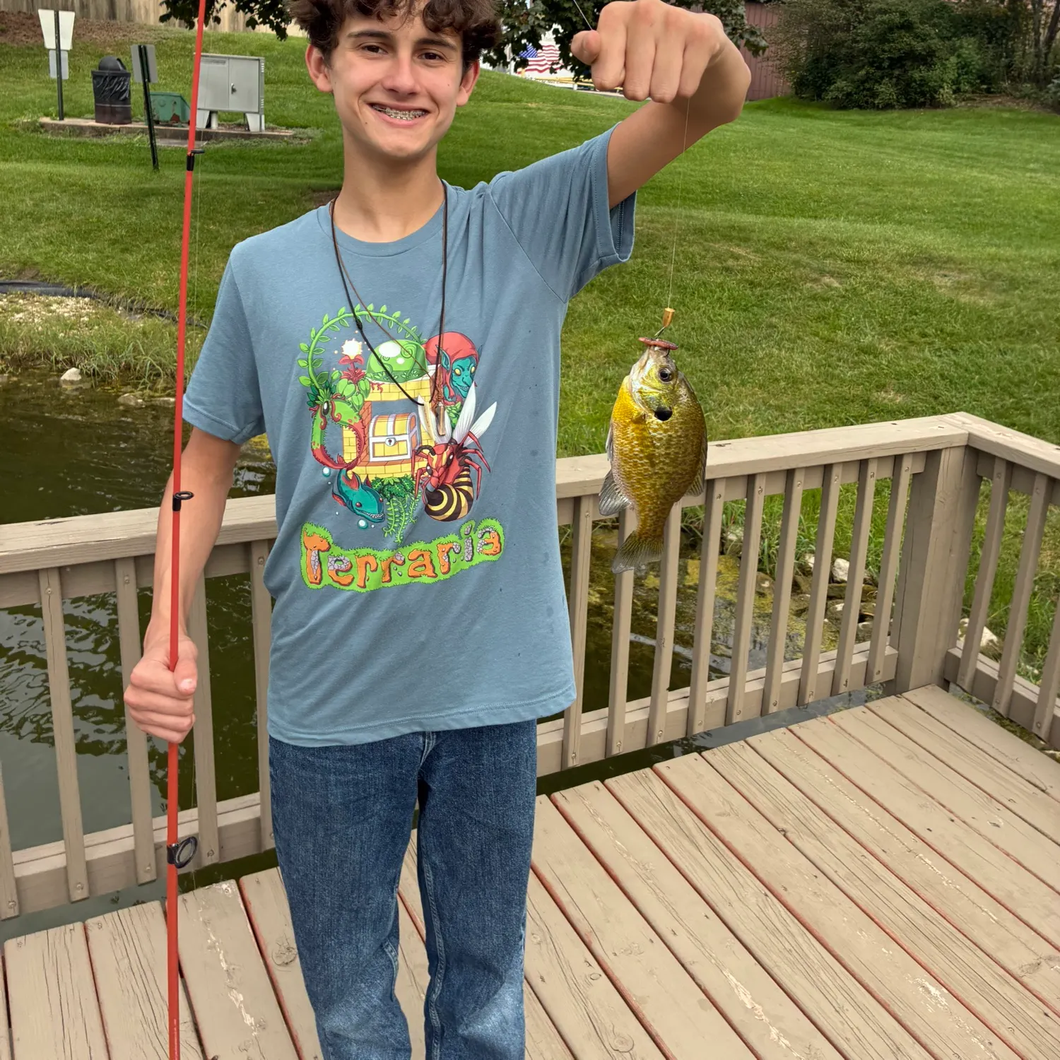 Bluegill caught on Fishbrain