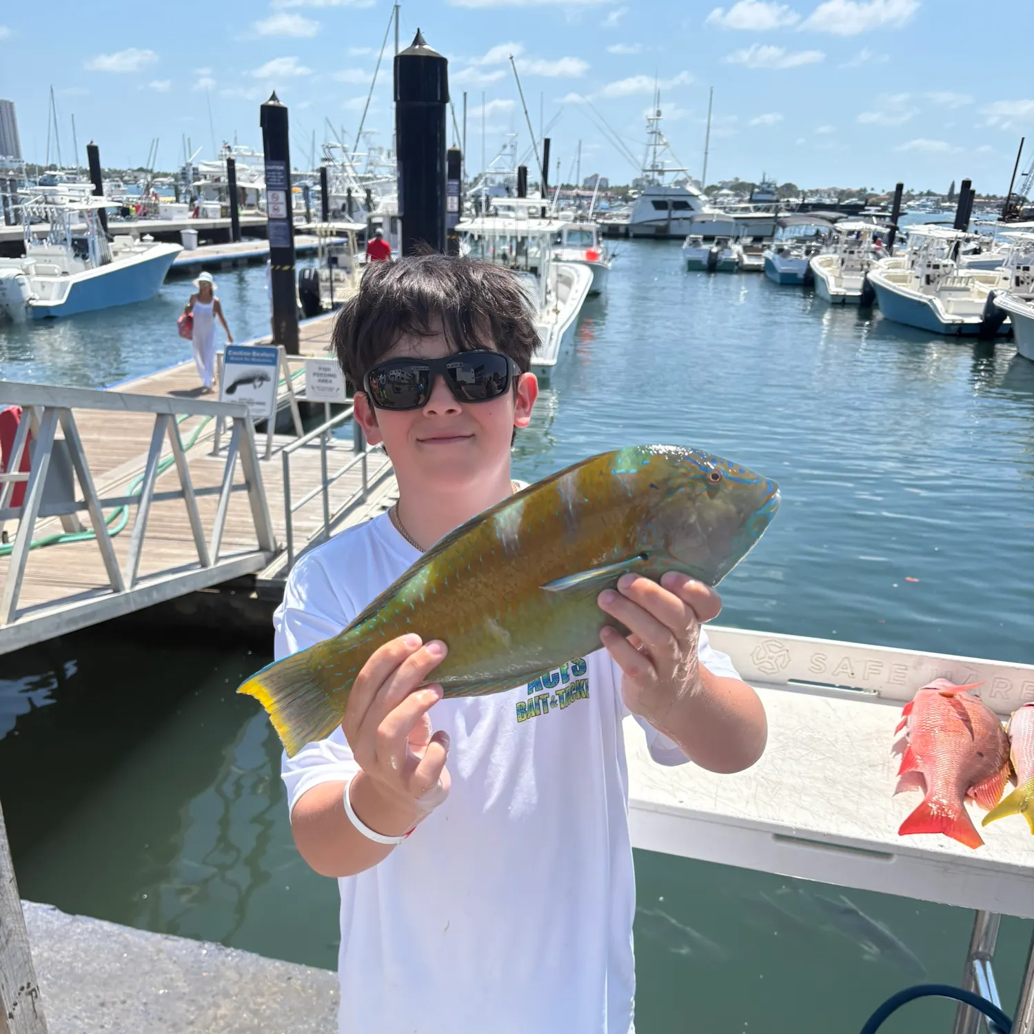 The most recent Ember parrotfish catches on Fishbrain