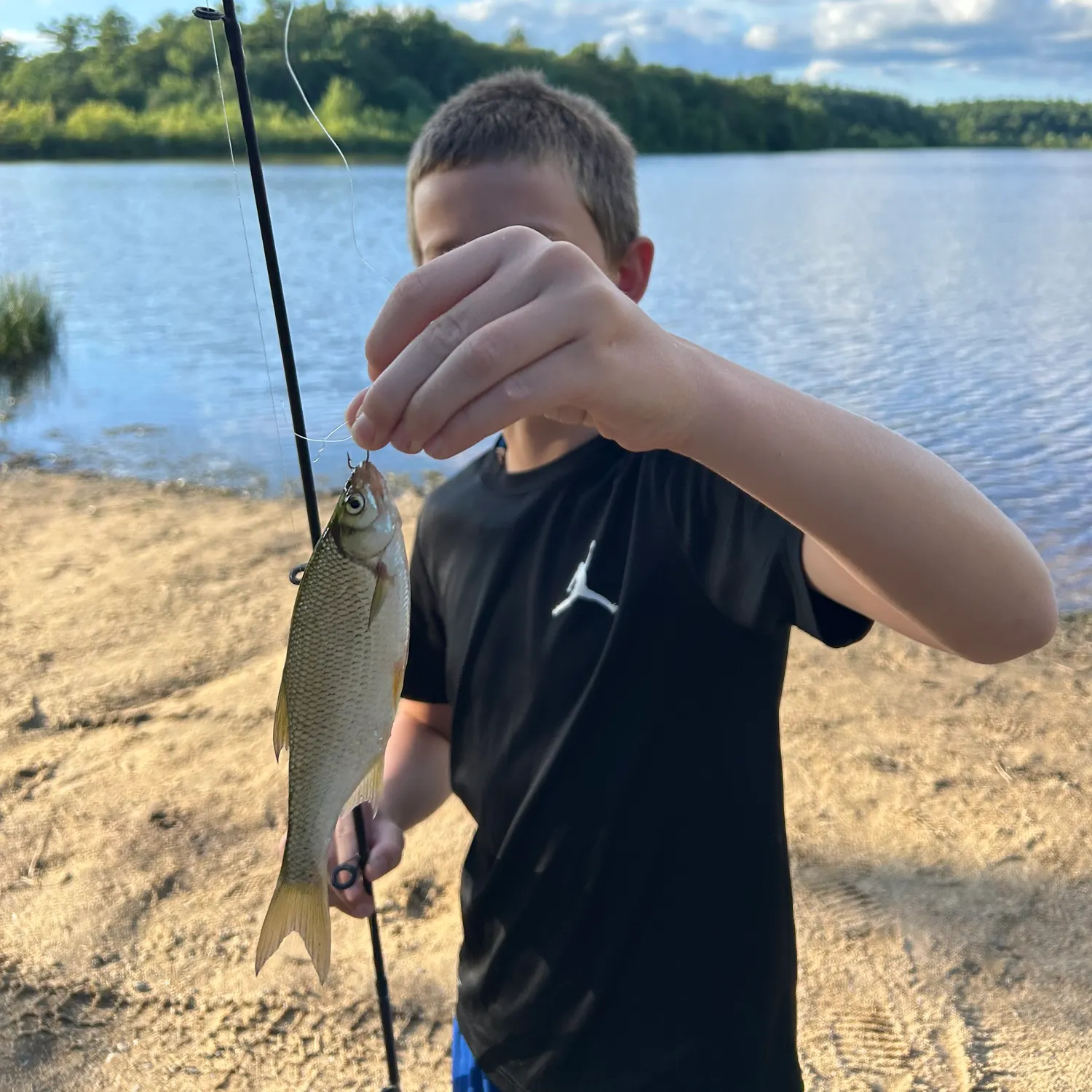The most recent Golden shiner catches on Fishbrain