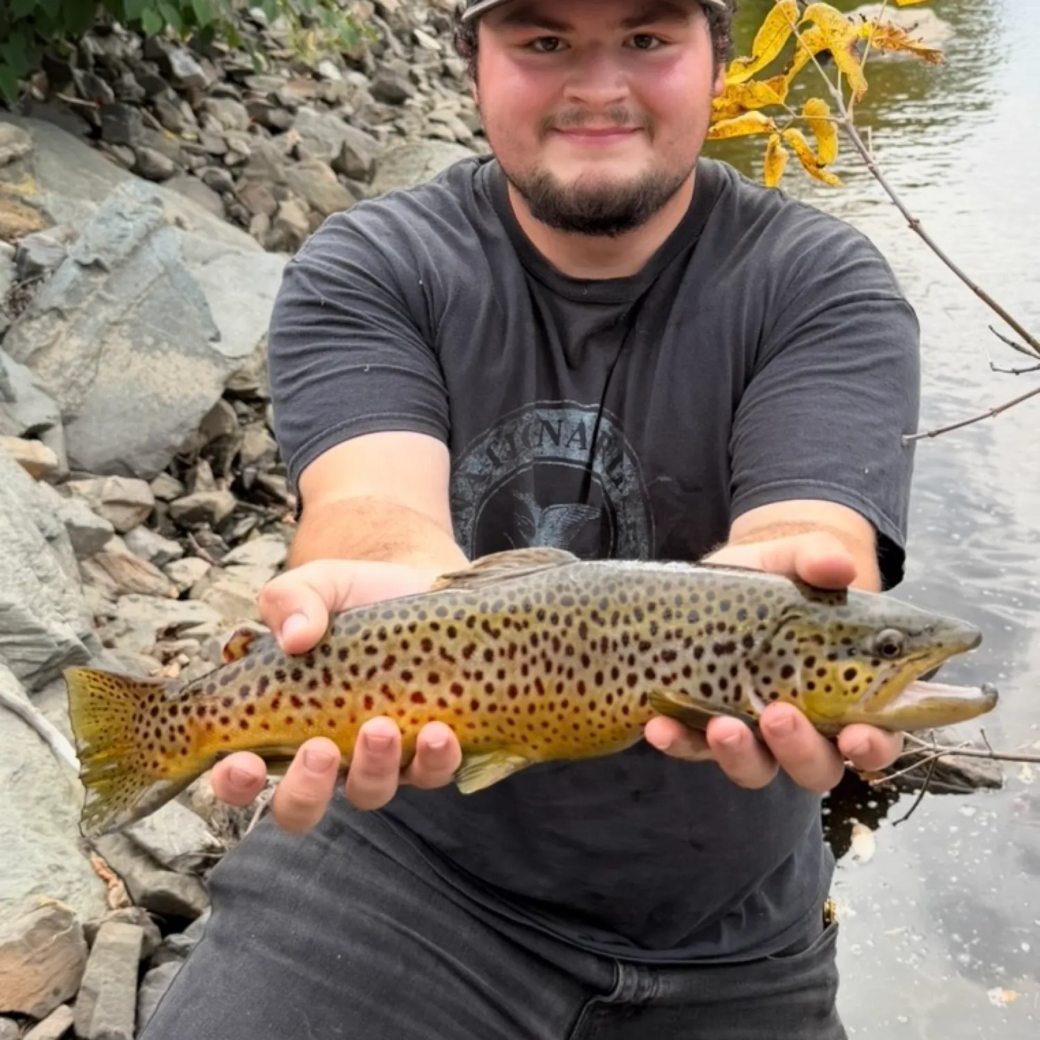 Brown trout caught on Fishbrain
