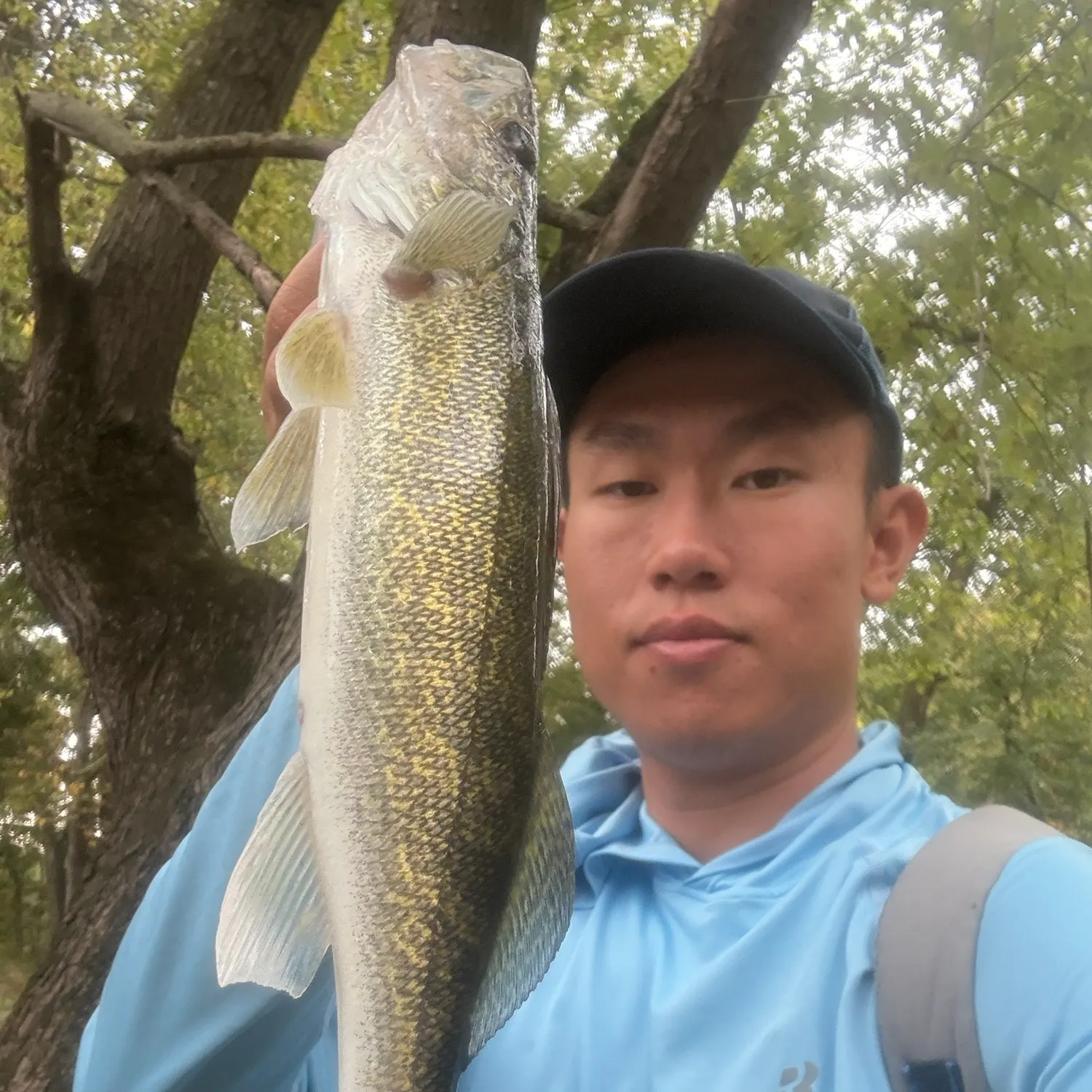 Walleye caught on Fishbrain