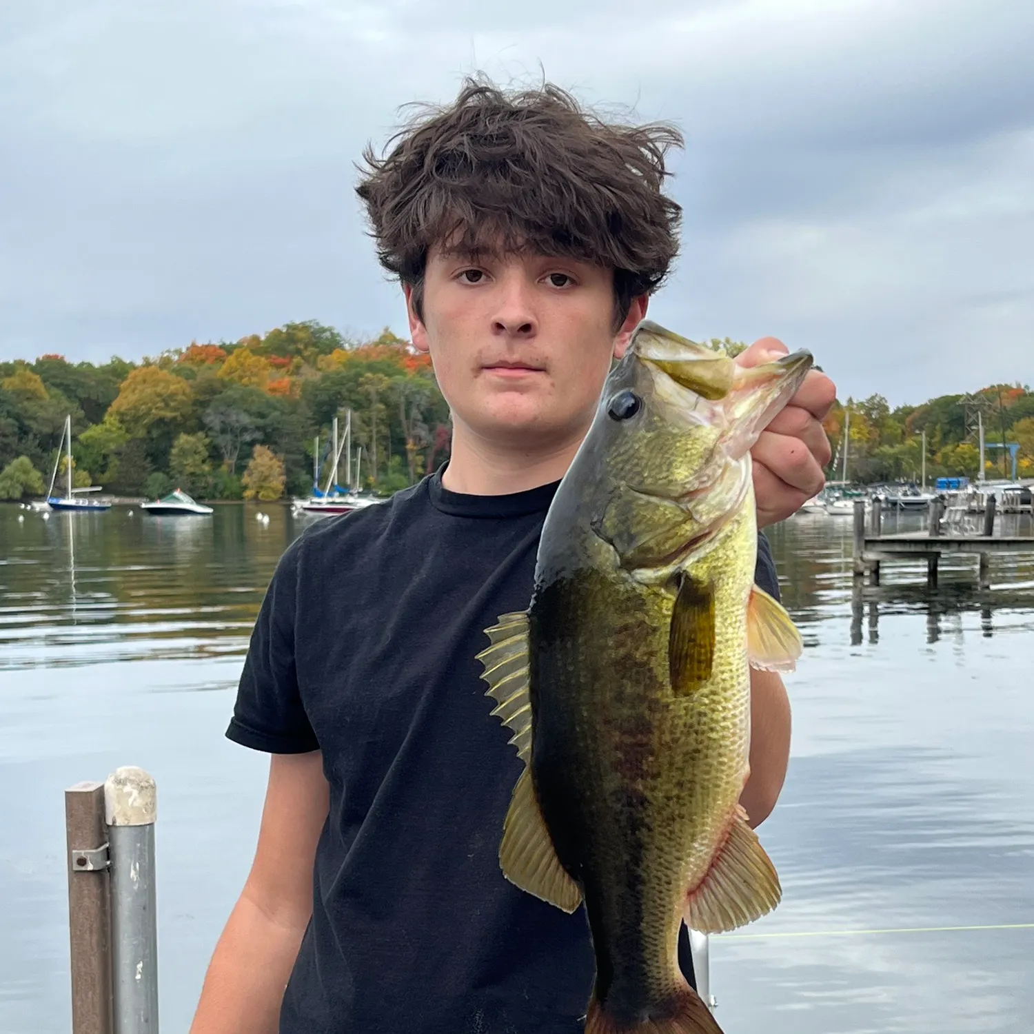 Largemouth bass caught on Fishbrain