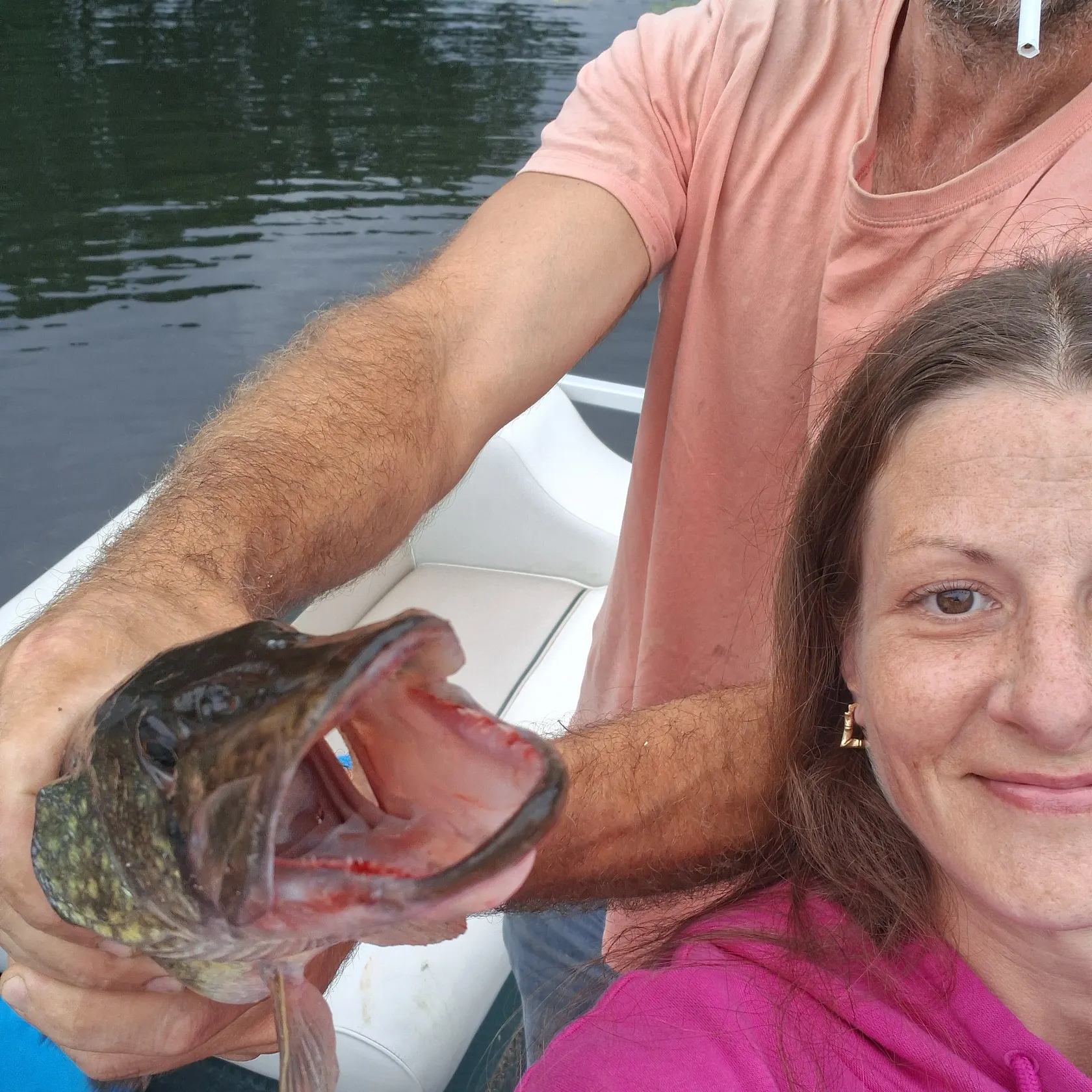 Chain pickerel caught on Fishbrain