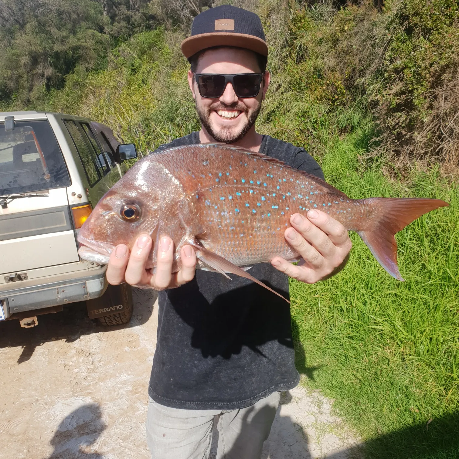 Australasian snapper caught on Fishbrain