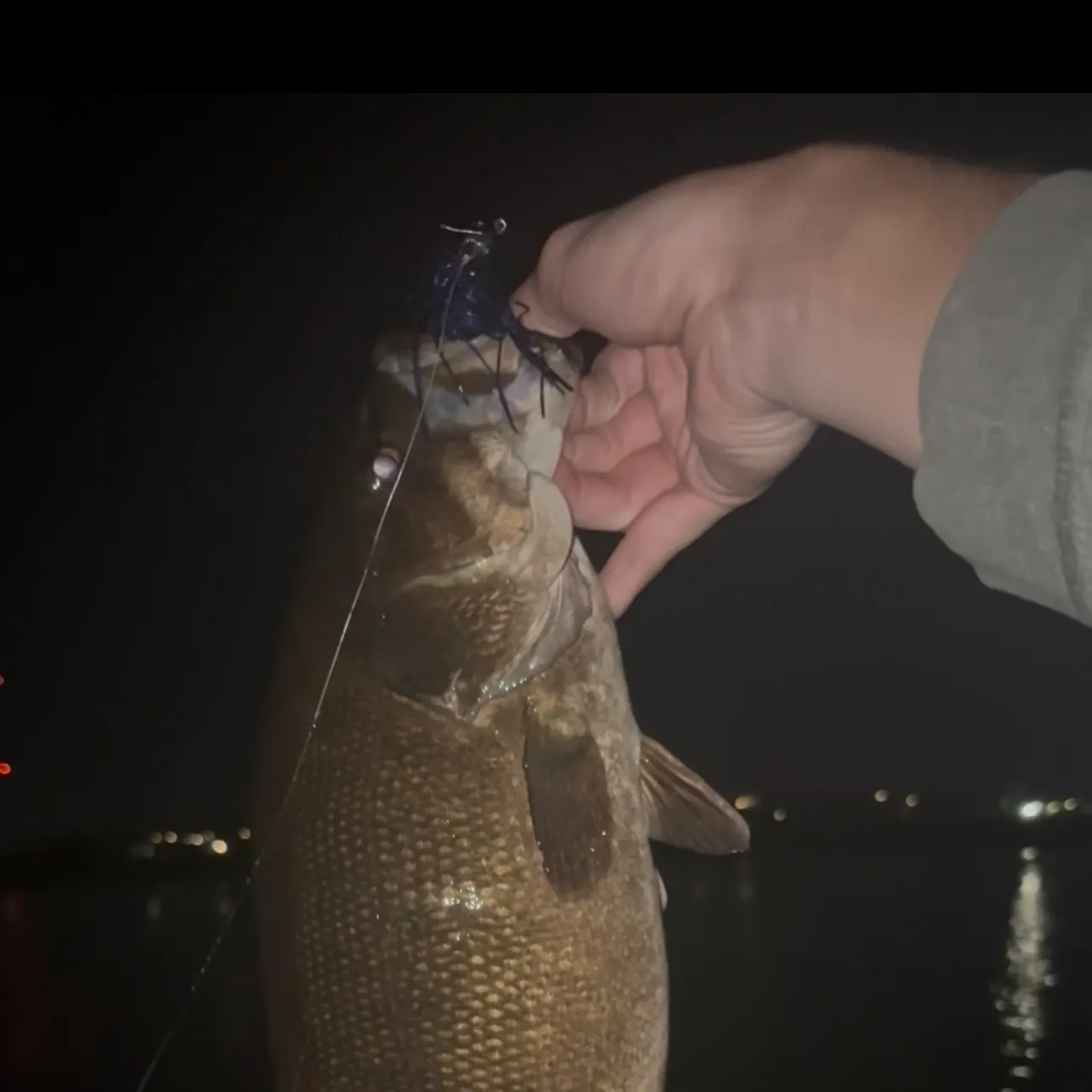 Smallmouth bass caught on Fishbrain
