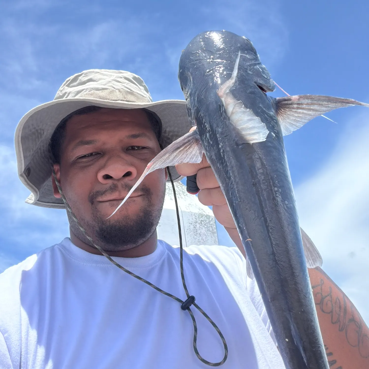 The most recent Coco sea catfish catches on Fishbrain