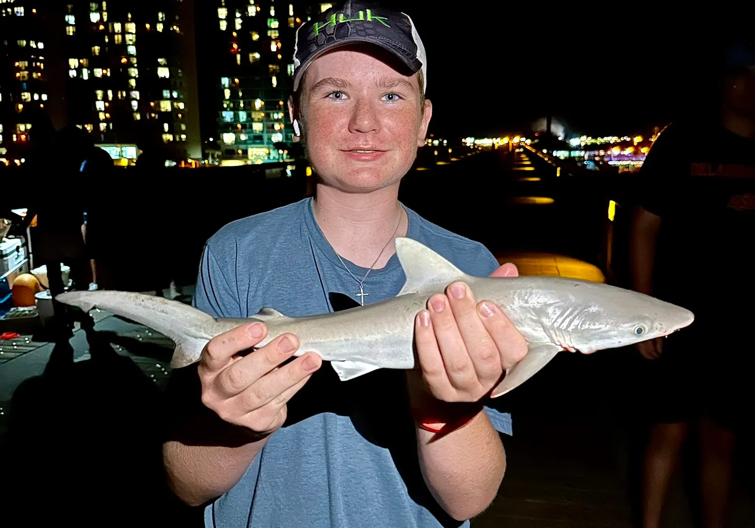 Spinner shark