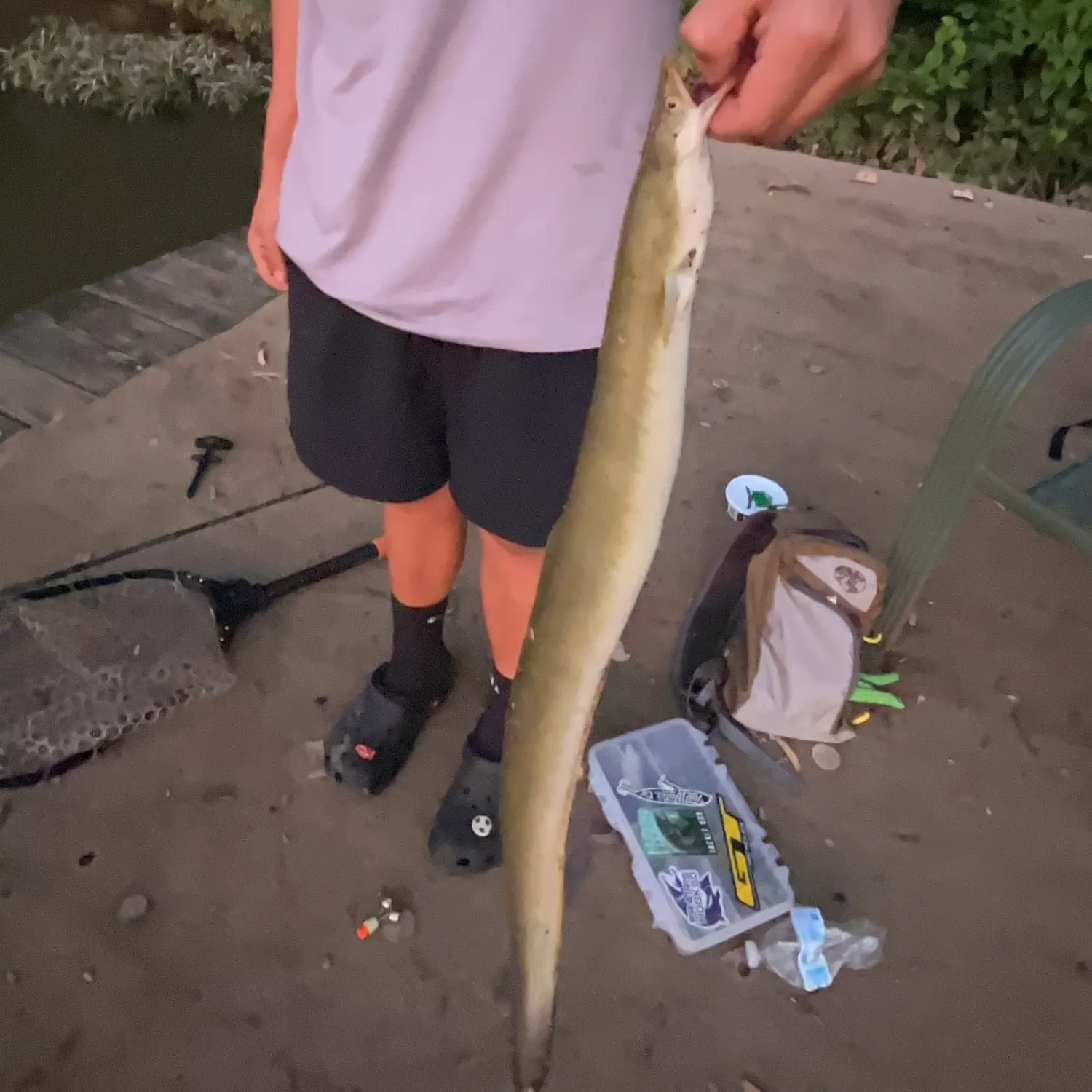 recently logged catches