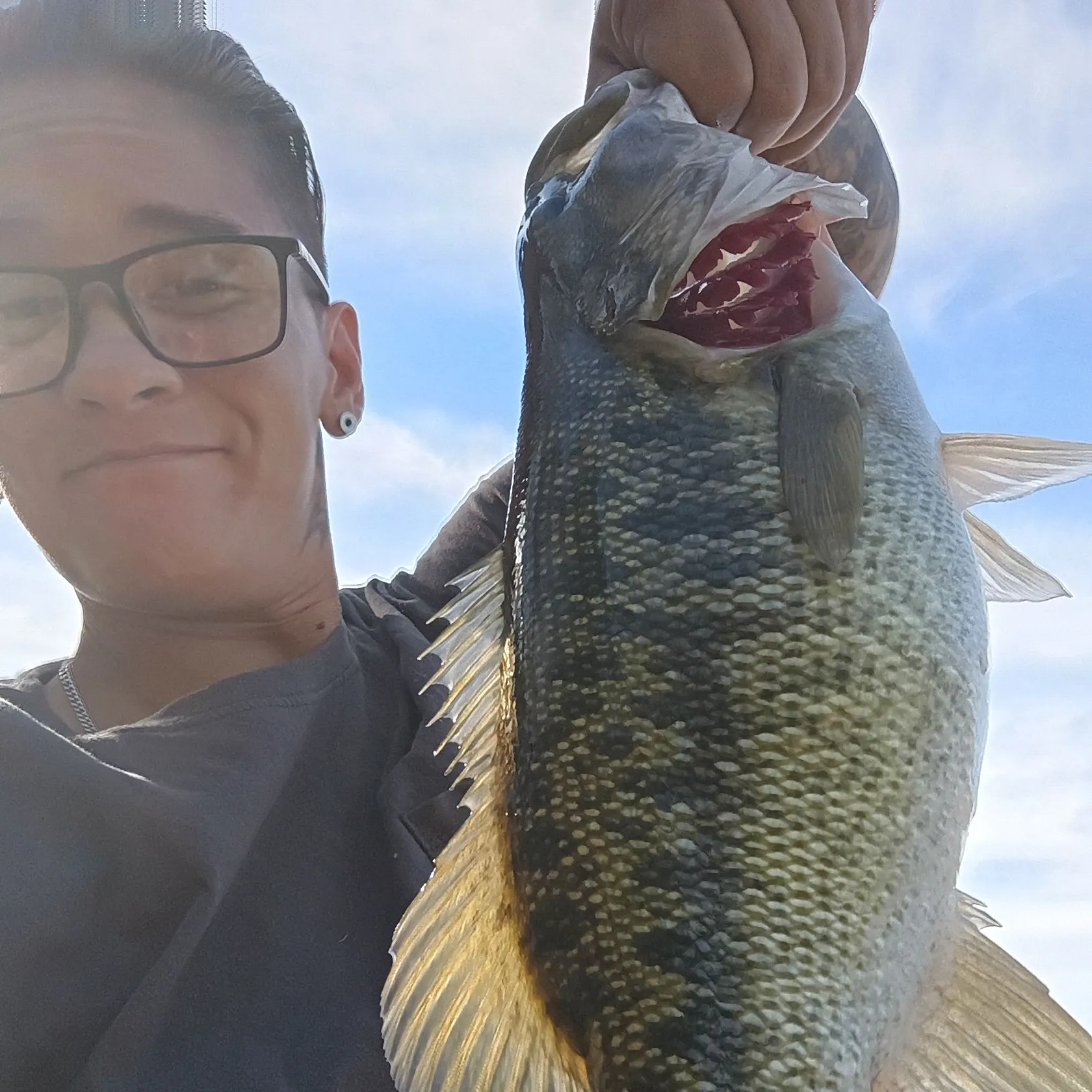 The most recent Spotted bass catches on Fishbrain