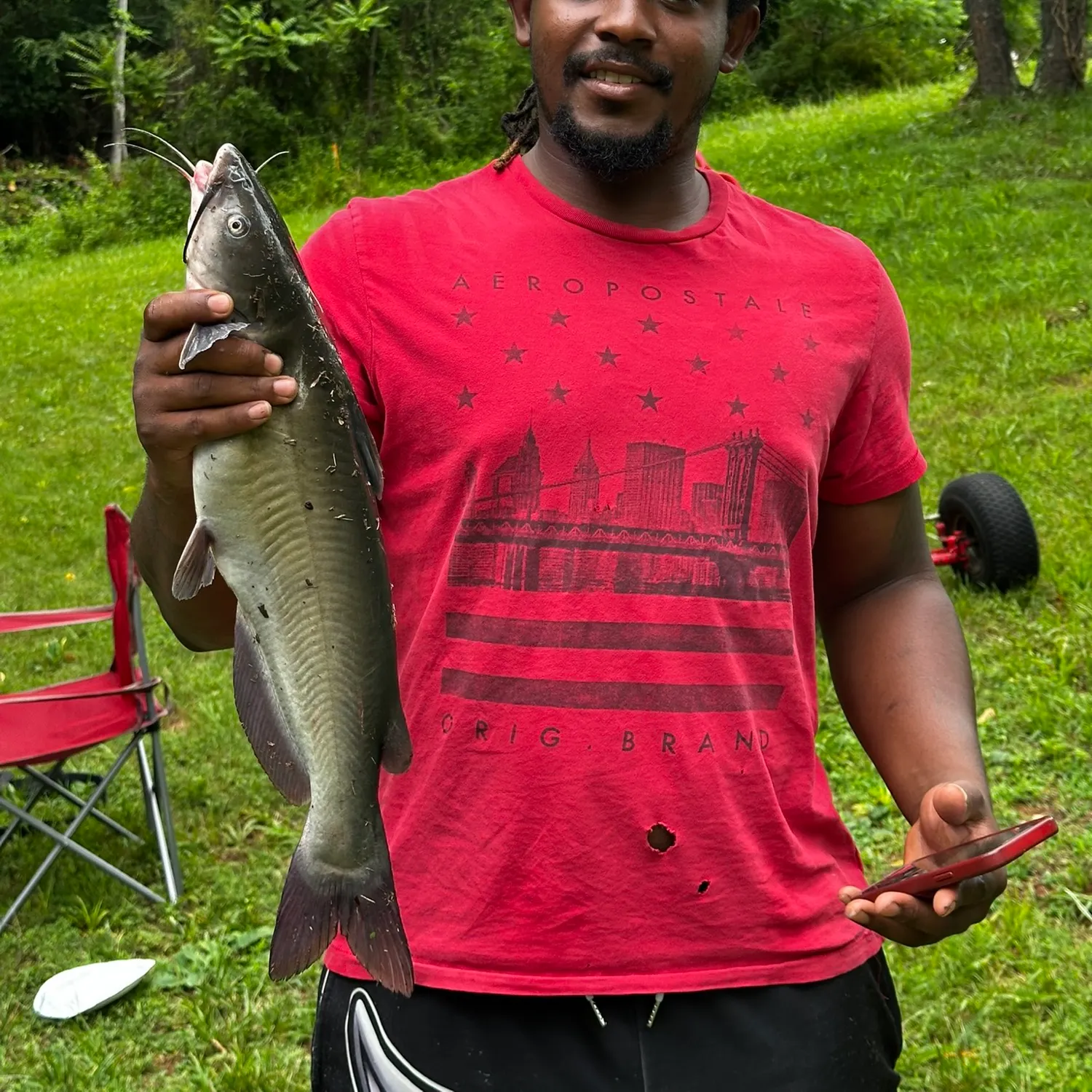 Channel catfish caught on Fishbrain
