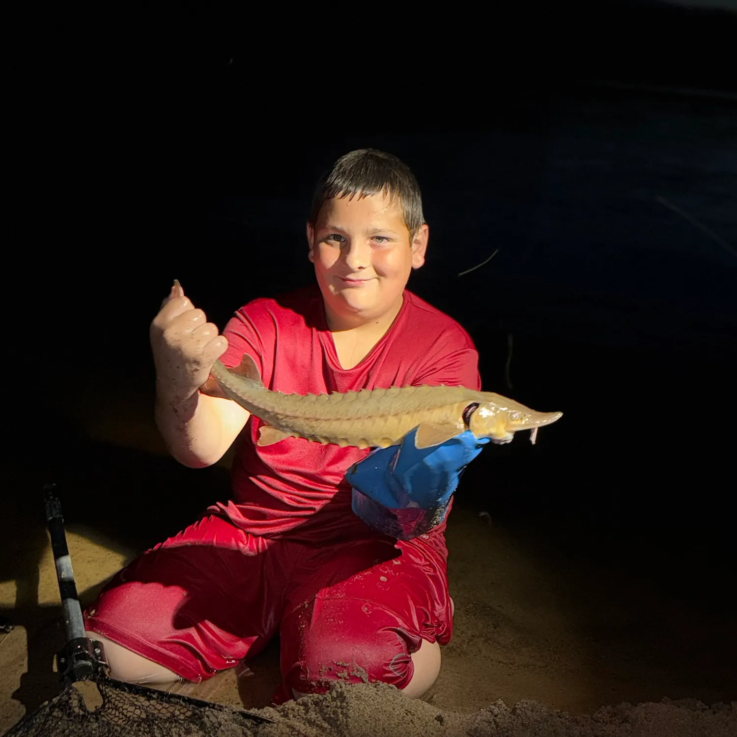 The most recent Shovelnose sturgeon catches on Fishbrain
