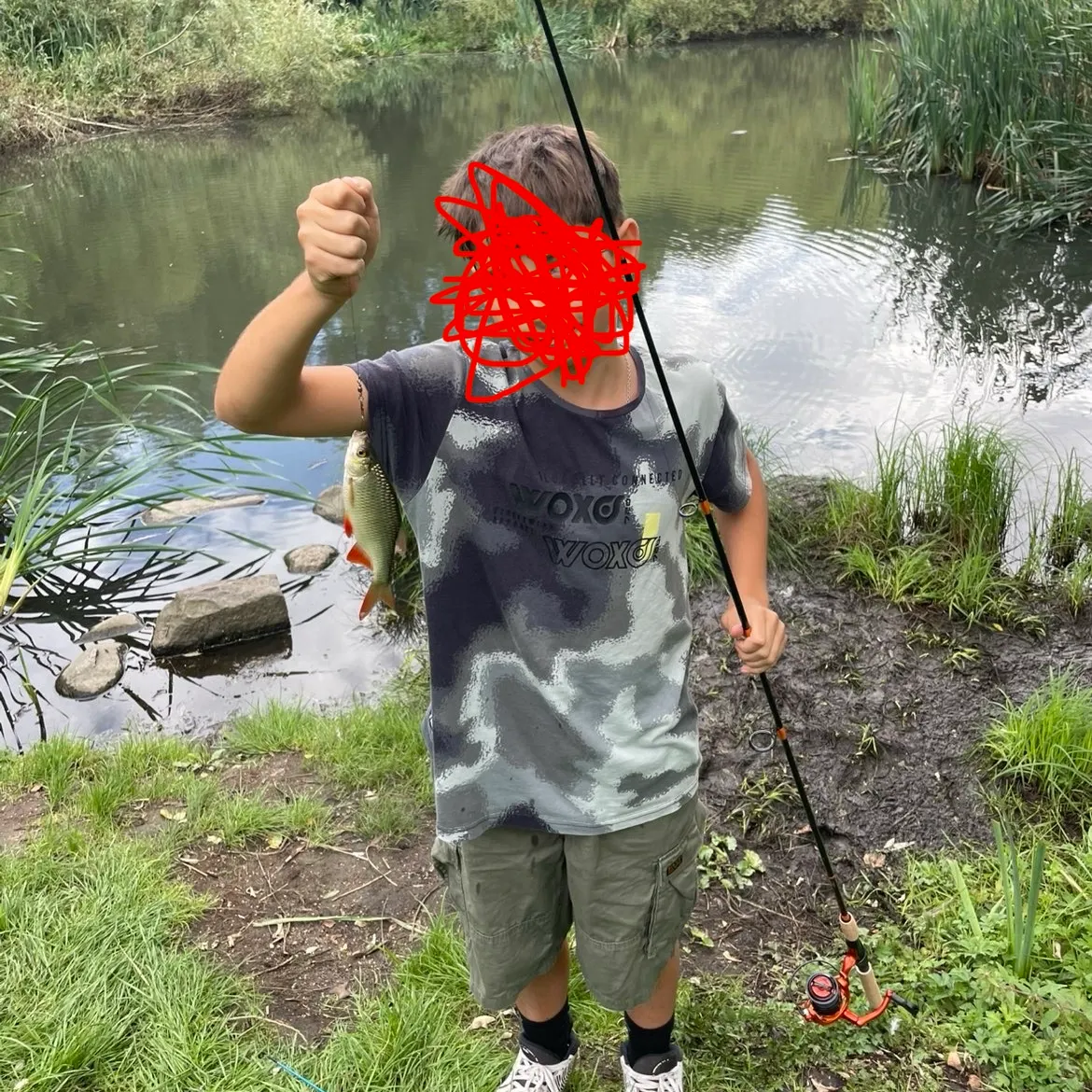 The most recent Common rudd catches on Fishbrain