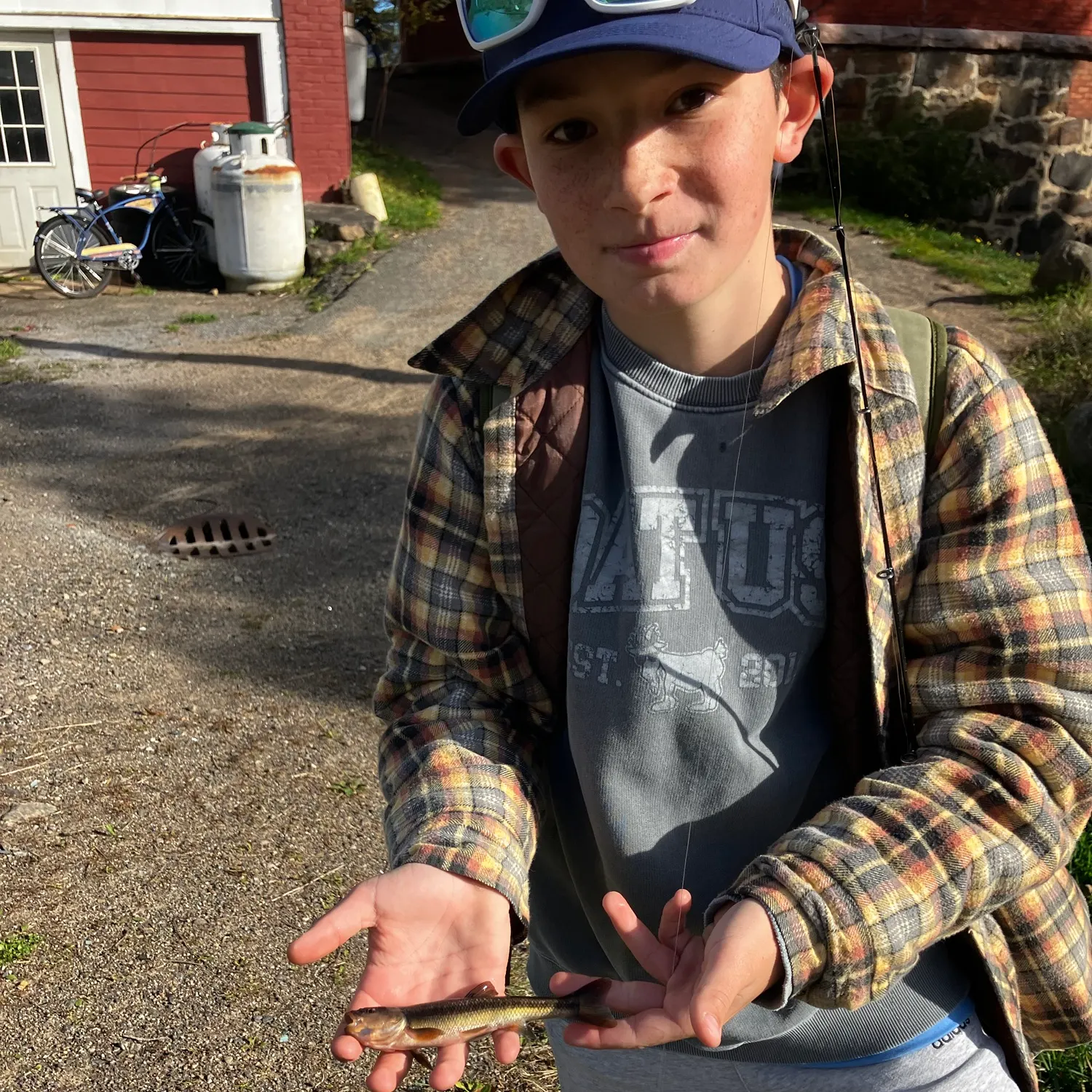 Creek chub caught on Fishbrain