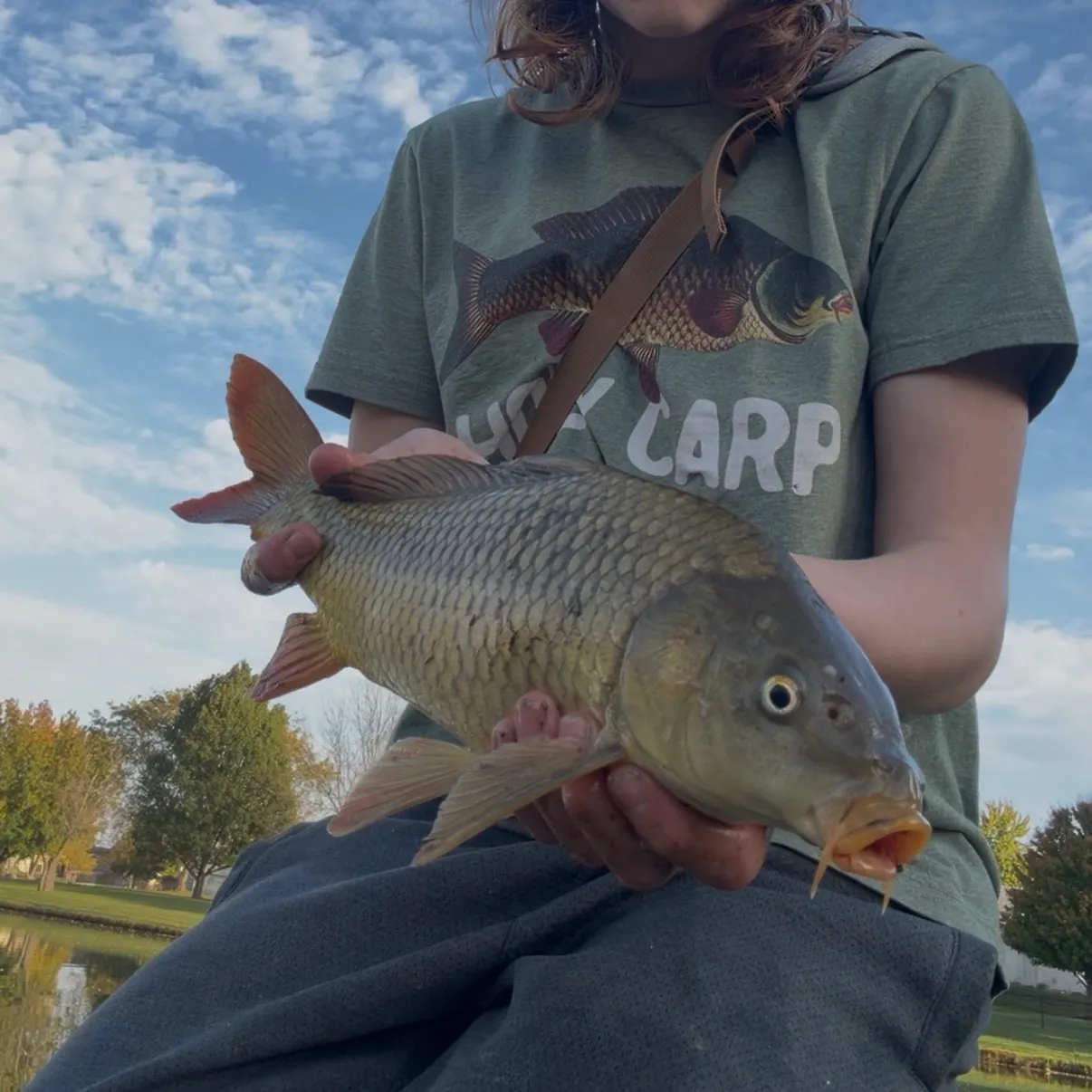 Common carp caught on Fishbrain
