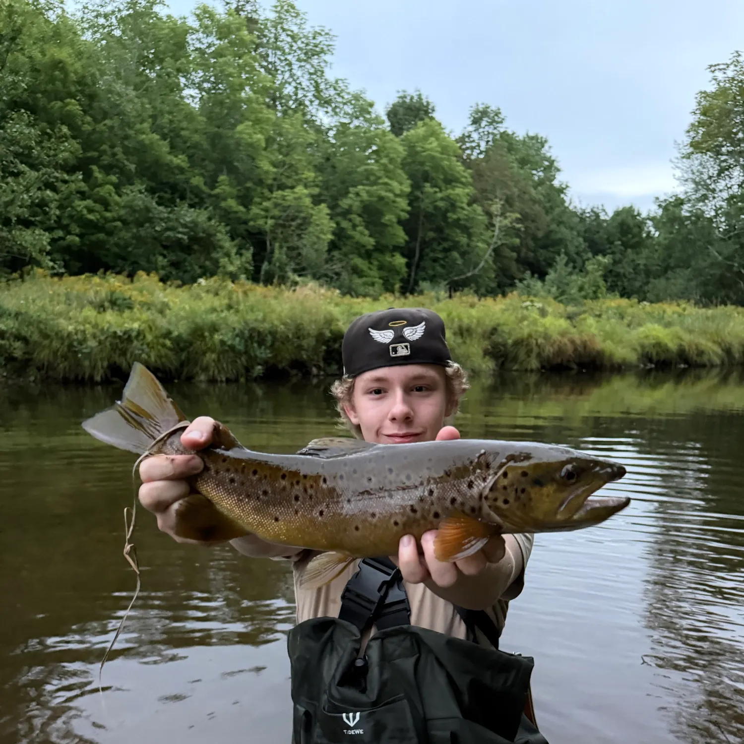 Brown trout caught on Fishbrain