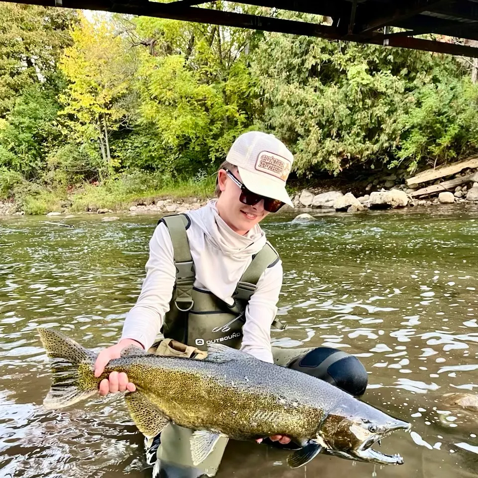 Chinook salmon caught on Fishbrain