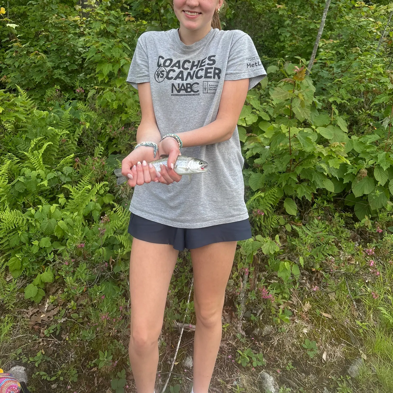 The most recent Rainbow trout catches on Fishbrain