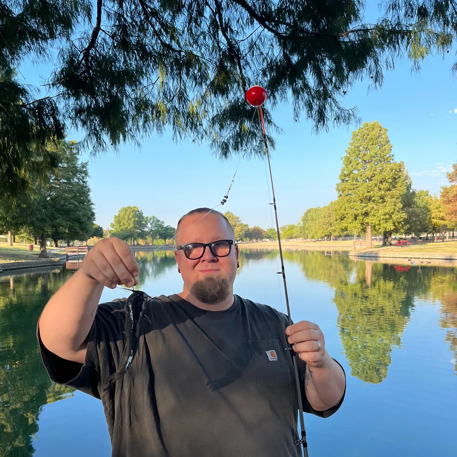 Channel catfish caught on Fishbrain