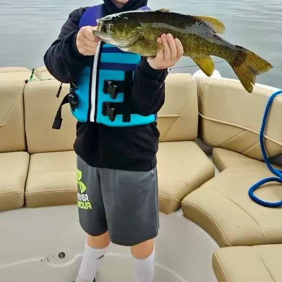 Smallmouth bass caught on Fishbrain