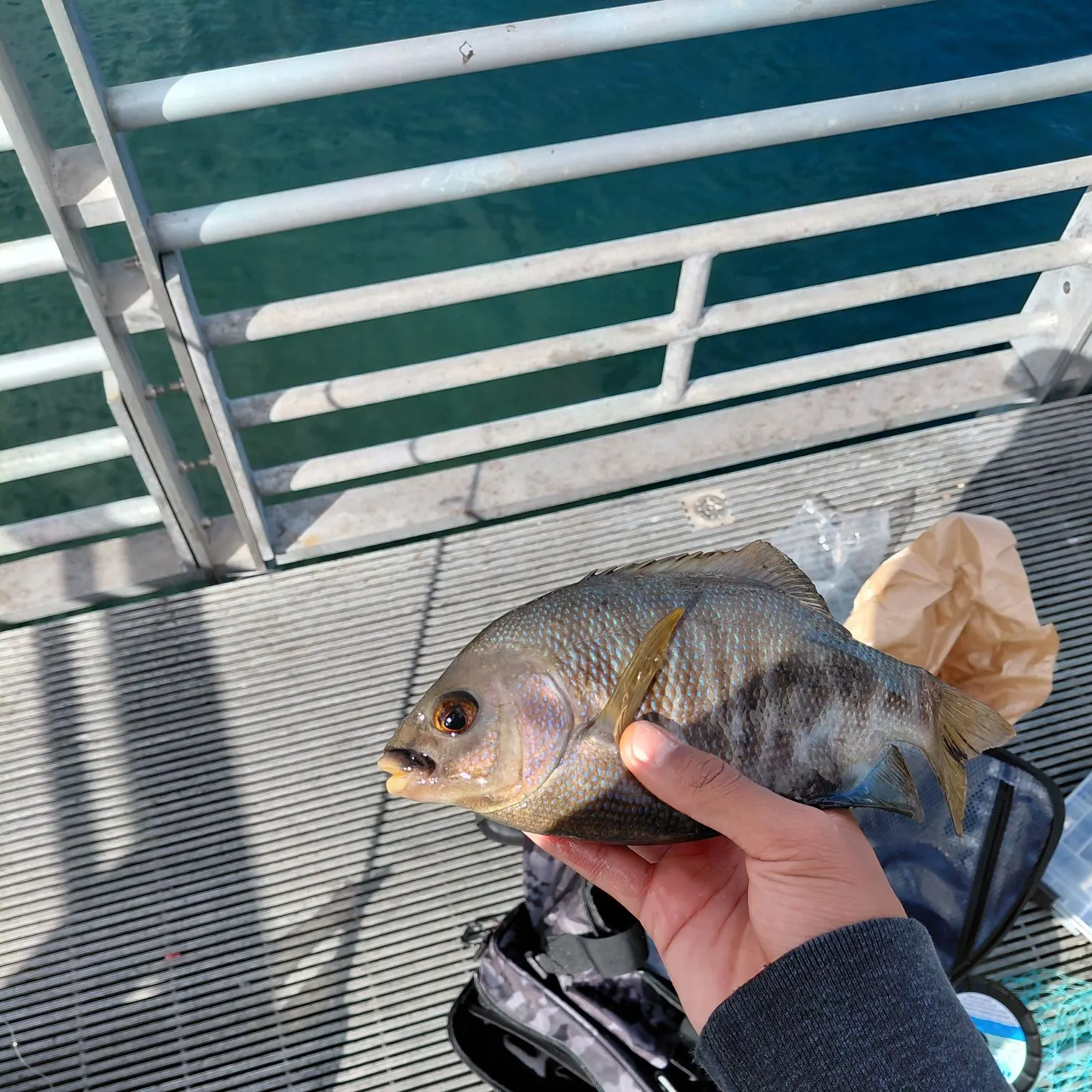 catch