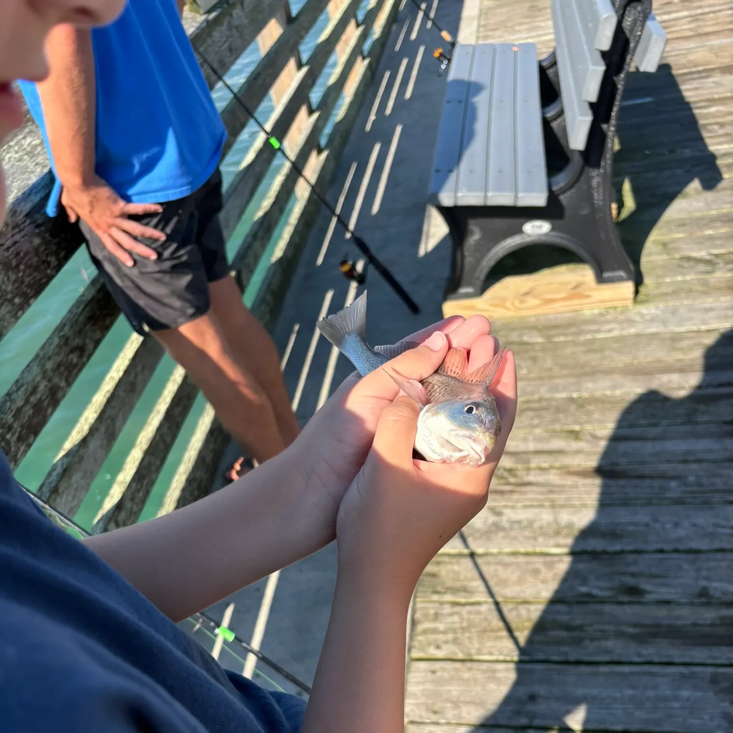 The most recent Atlantic croaker catches on Fishbrain