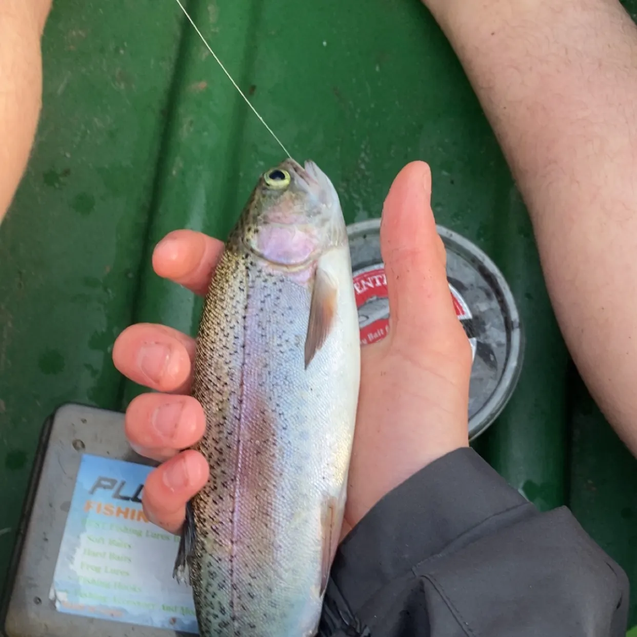 Rainbow trout caught on Fishbrain