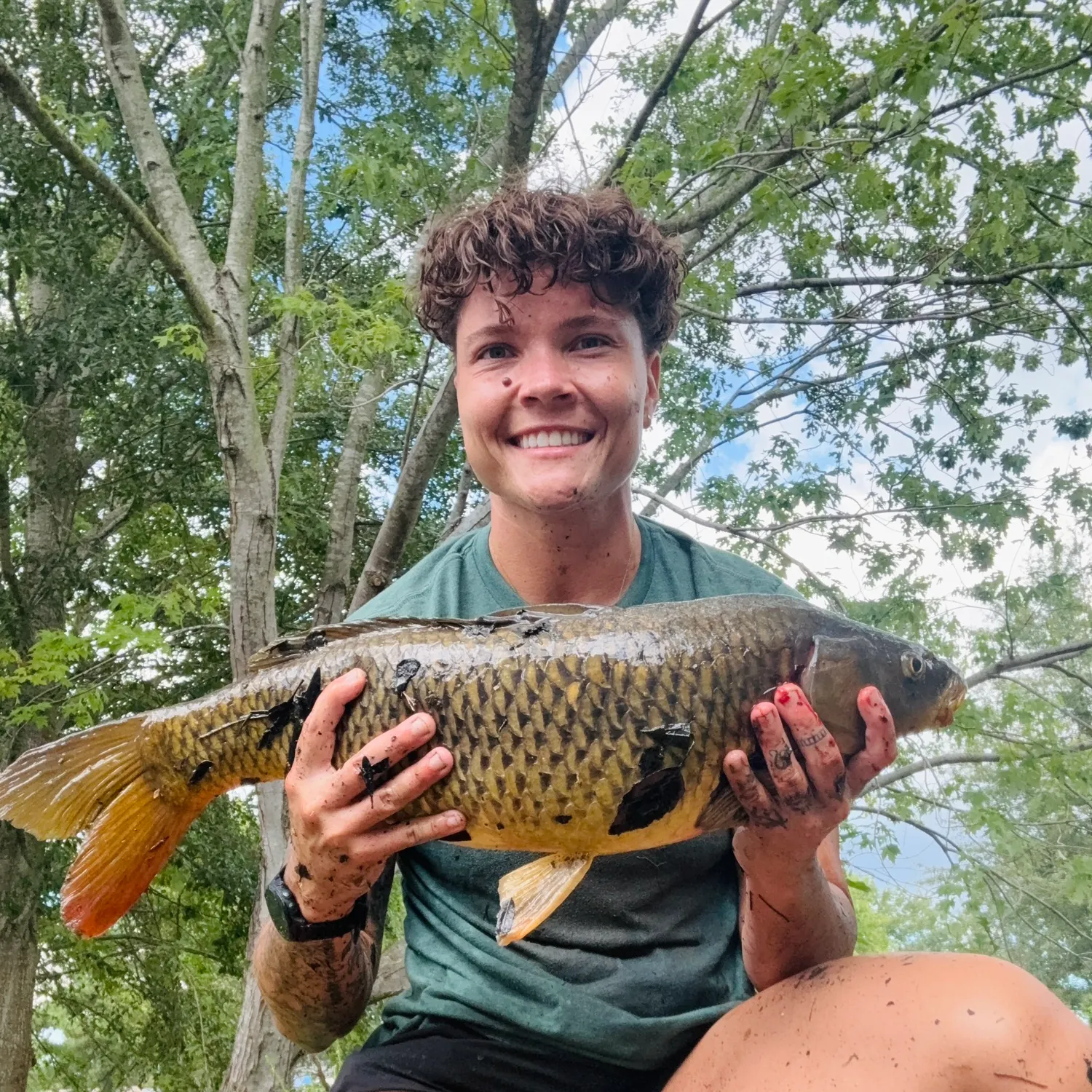 Common carp caught on Fishbrain