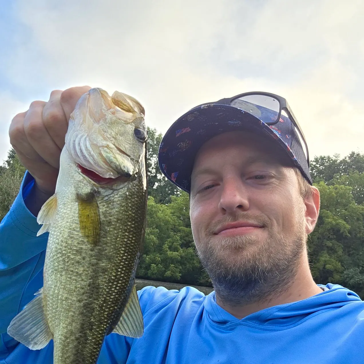 Largemouth bass caught on Fishbrain