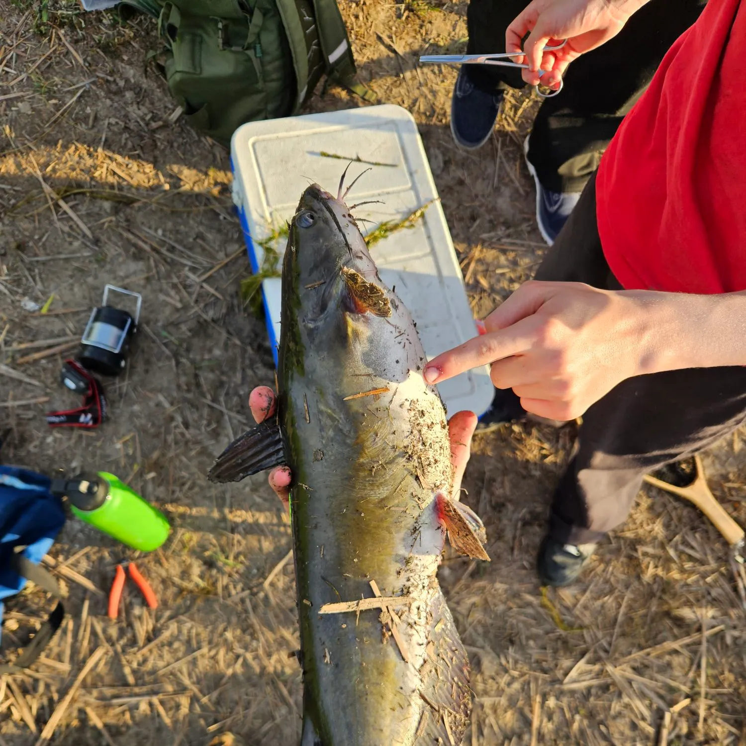catch