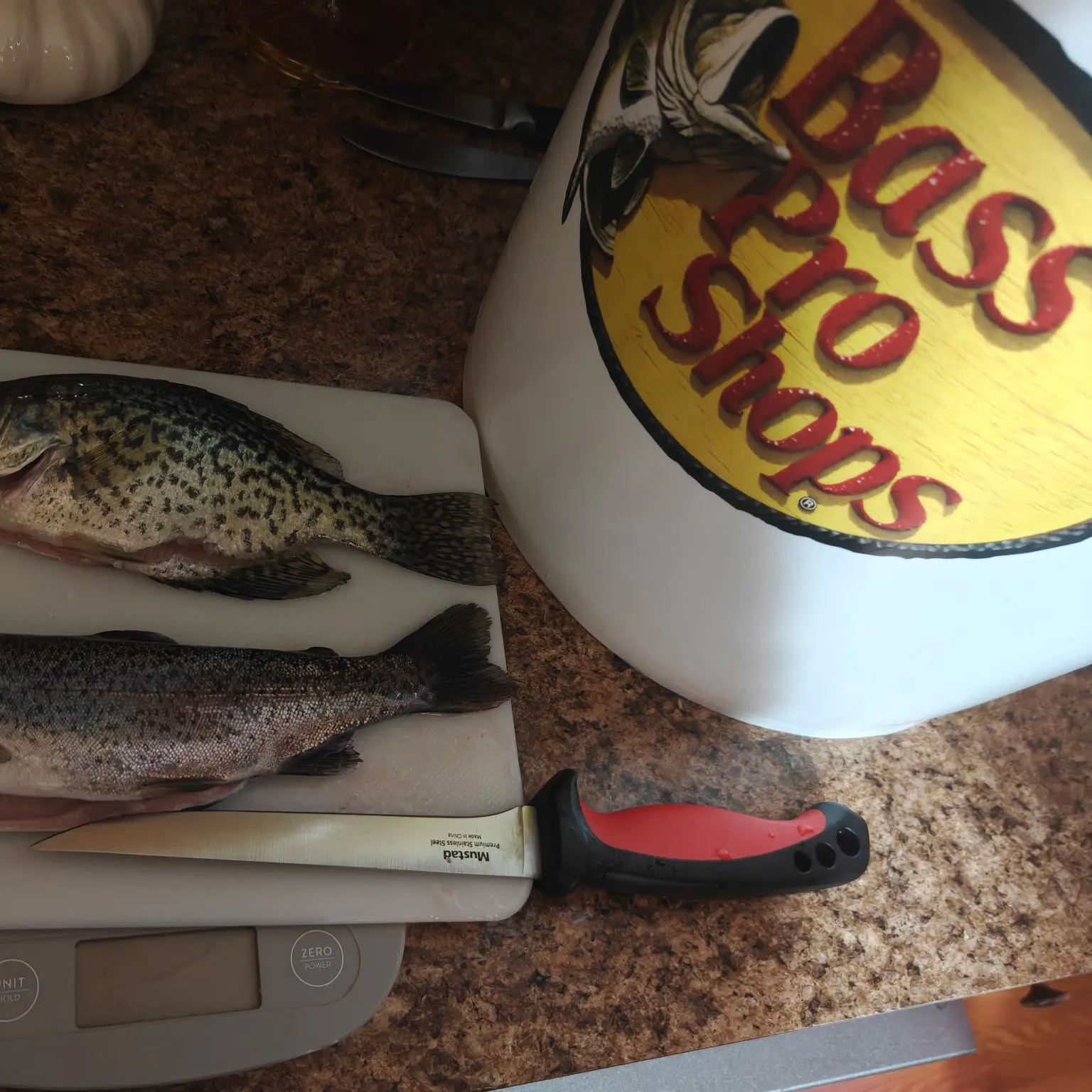Black crappie caught on Fishbrain