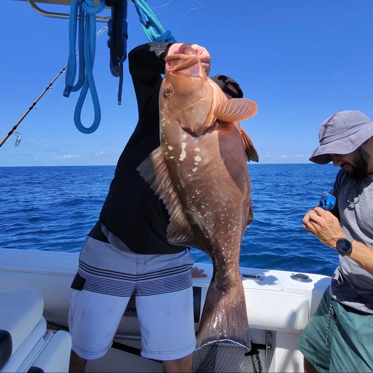 The most recent Red grouper catches on Fishbrain