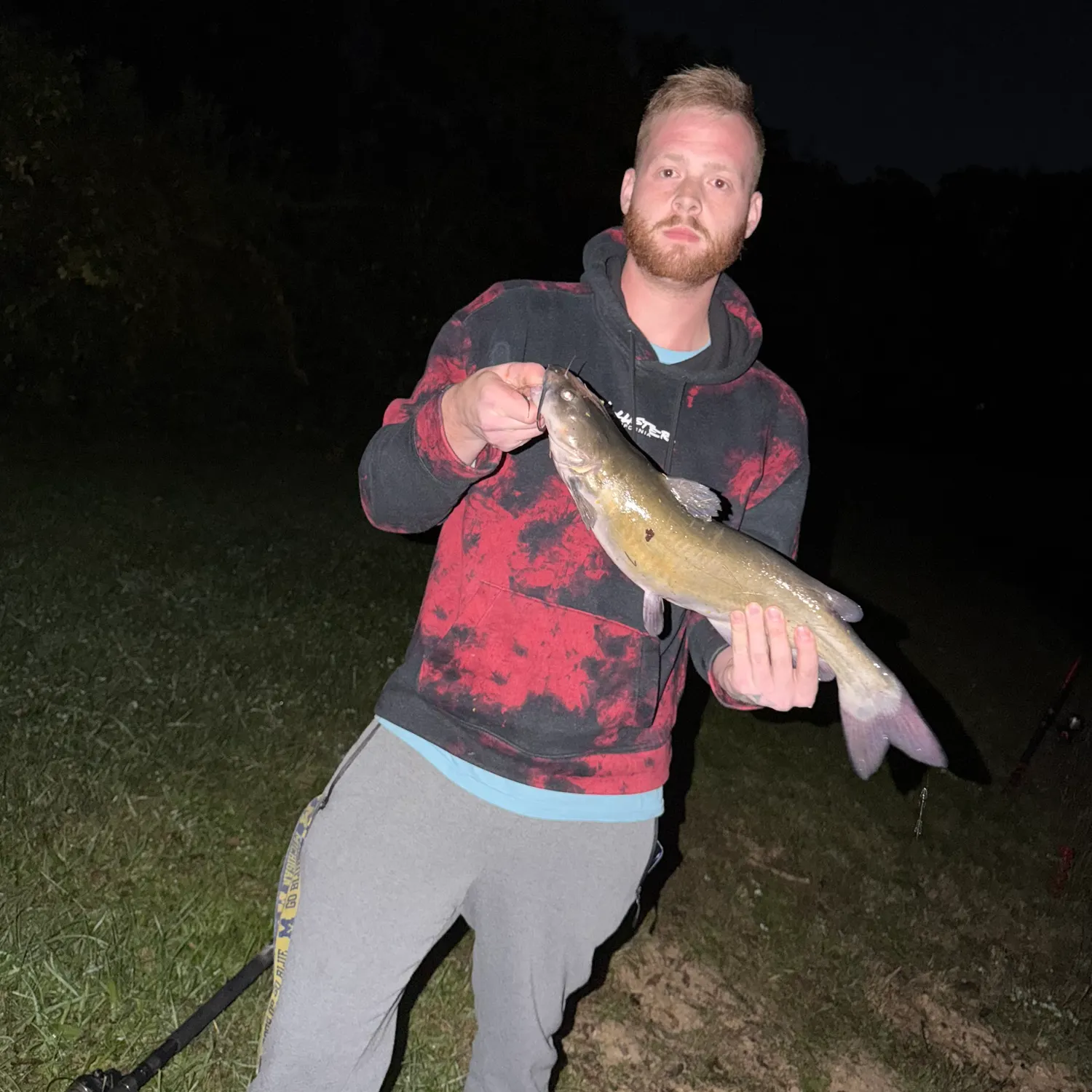 Channel catfish caught on Fishbrain