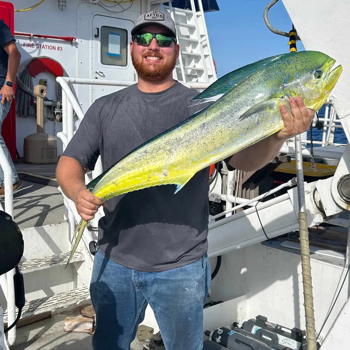 The most recent Common dolphinfish catches on Fishbrain