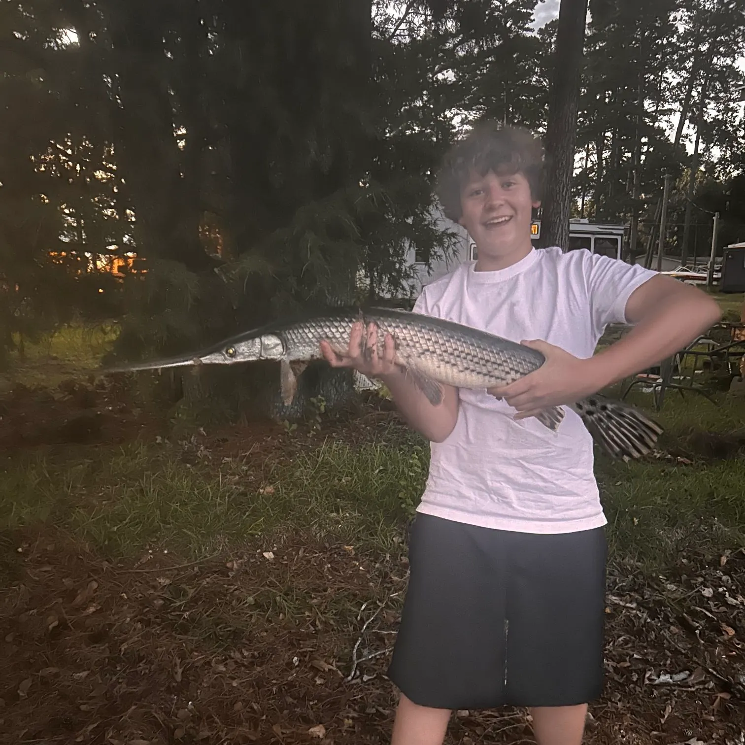 The most recent Longnose gar catches on Fishbrain