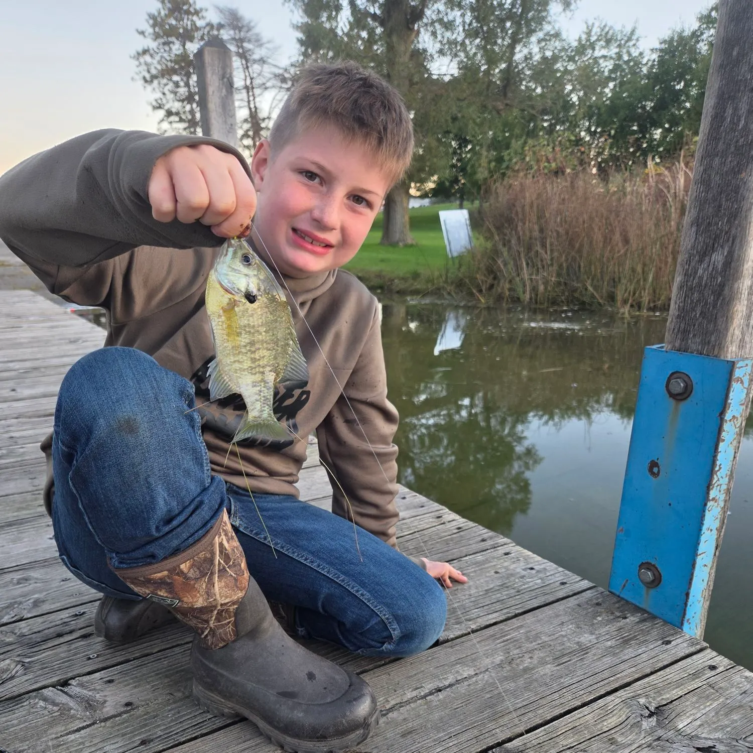 Bluegill caught on Fishbrain