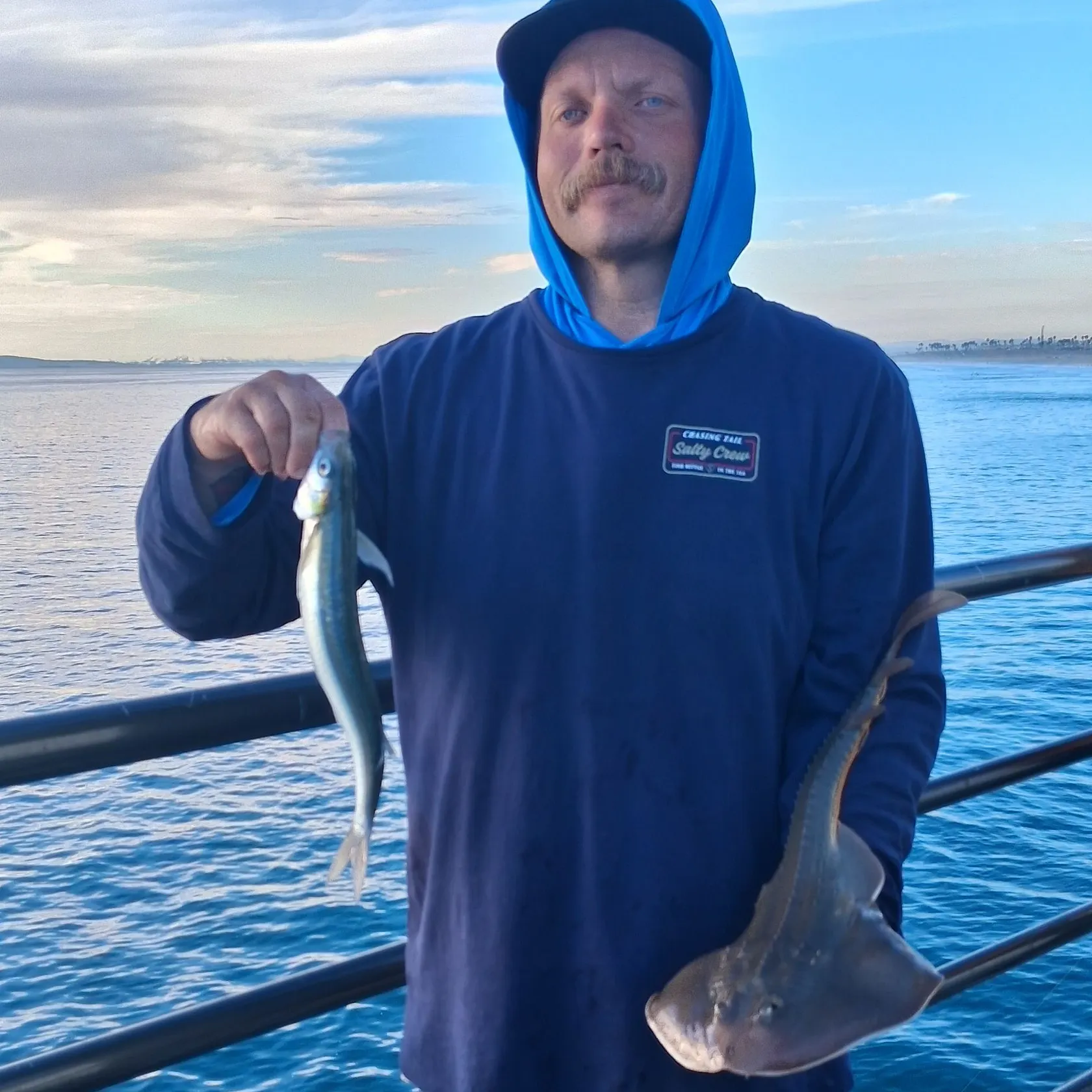 The most recent Thornback guitarfish catches on Fishbrain