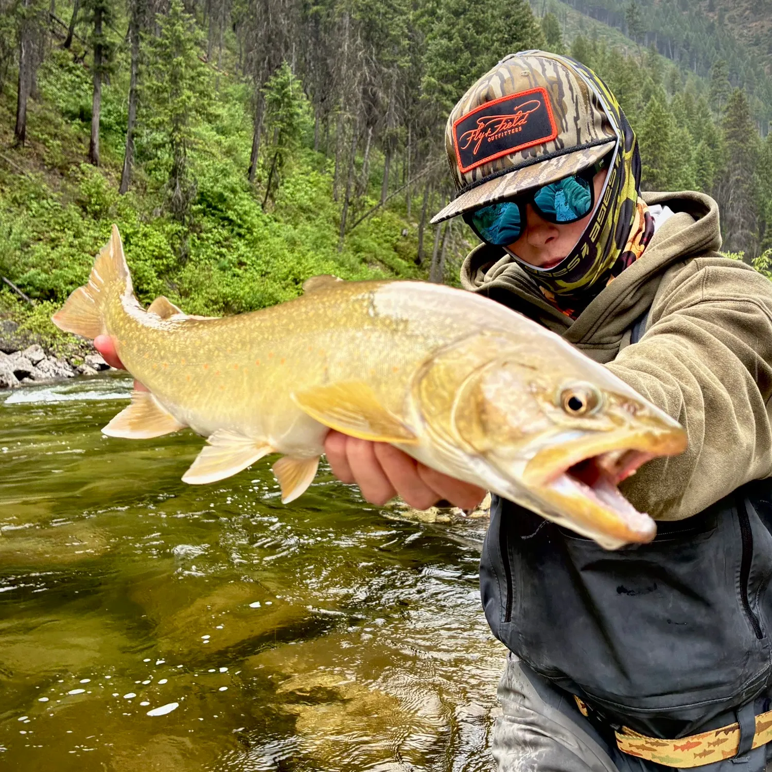 The most recent Bull trout catches on Fishbrain