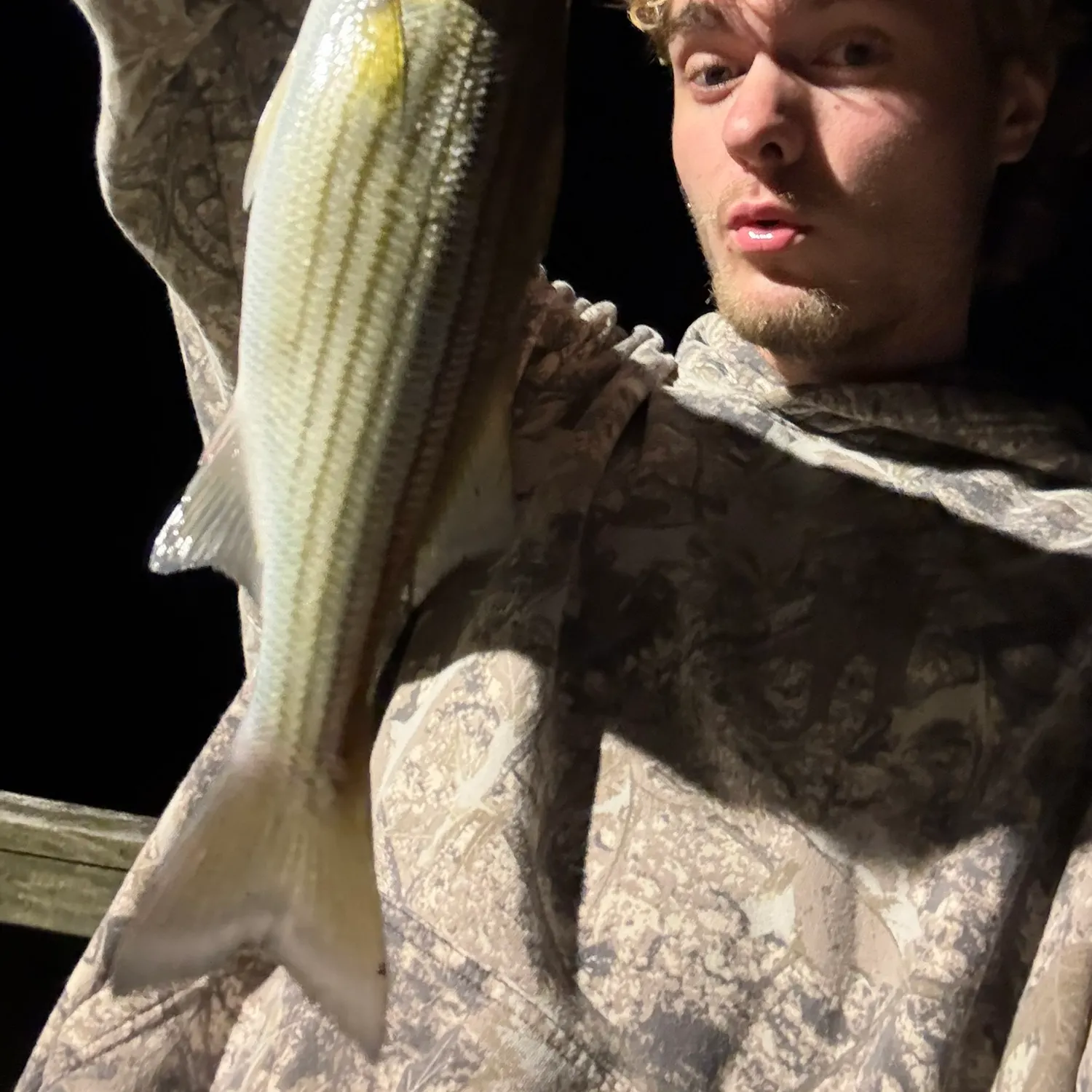 Striped bass caught on Fishbrain