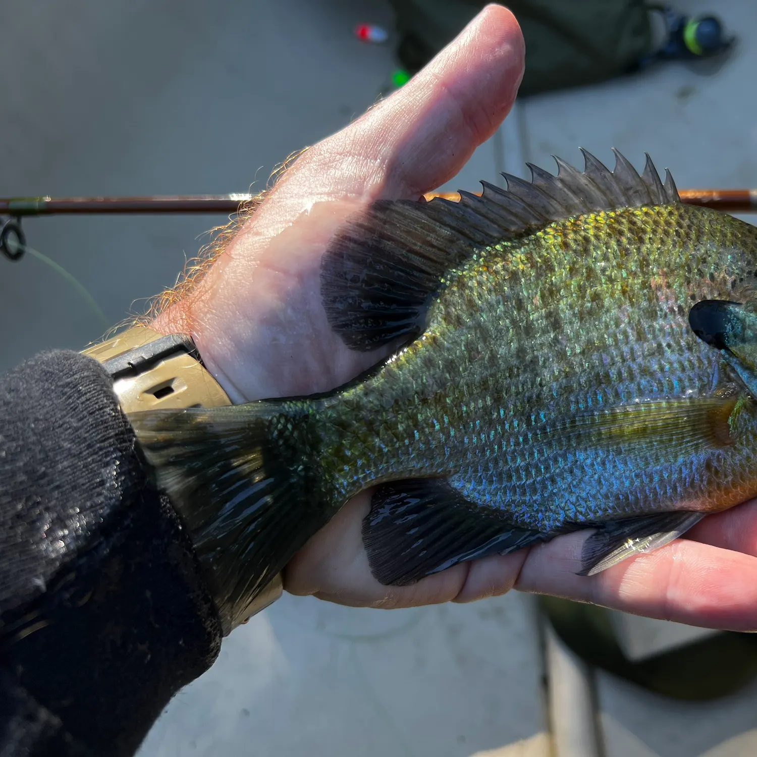 catch