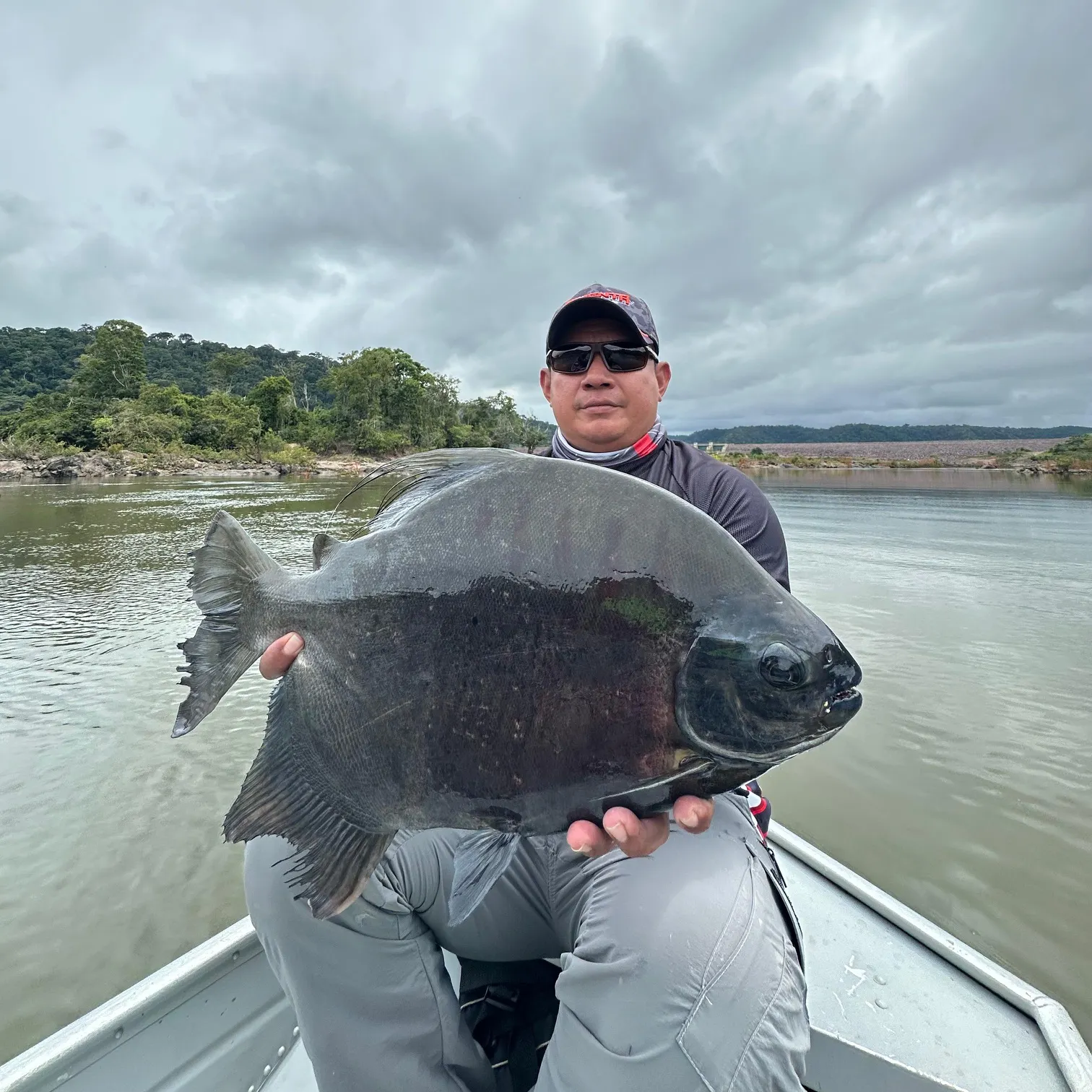 The most recent Red-bellied pacu catches on Fishbrain