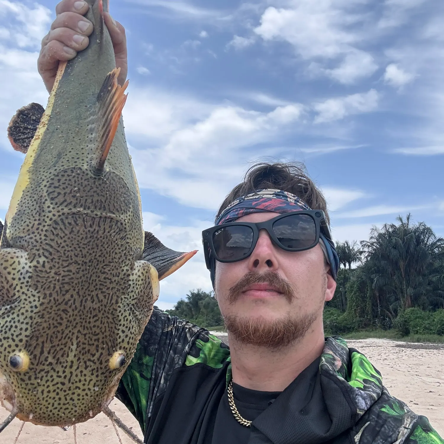 The most recent Redtail catfish catches on Fishbrain