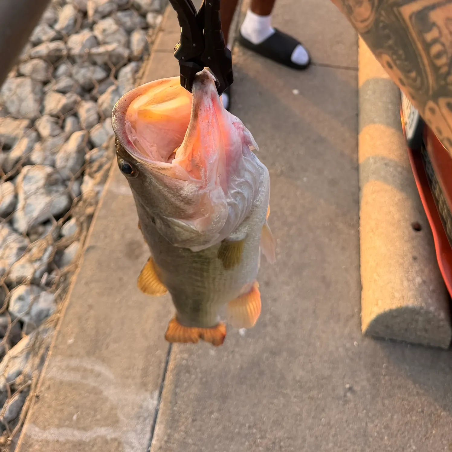 catch