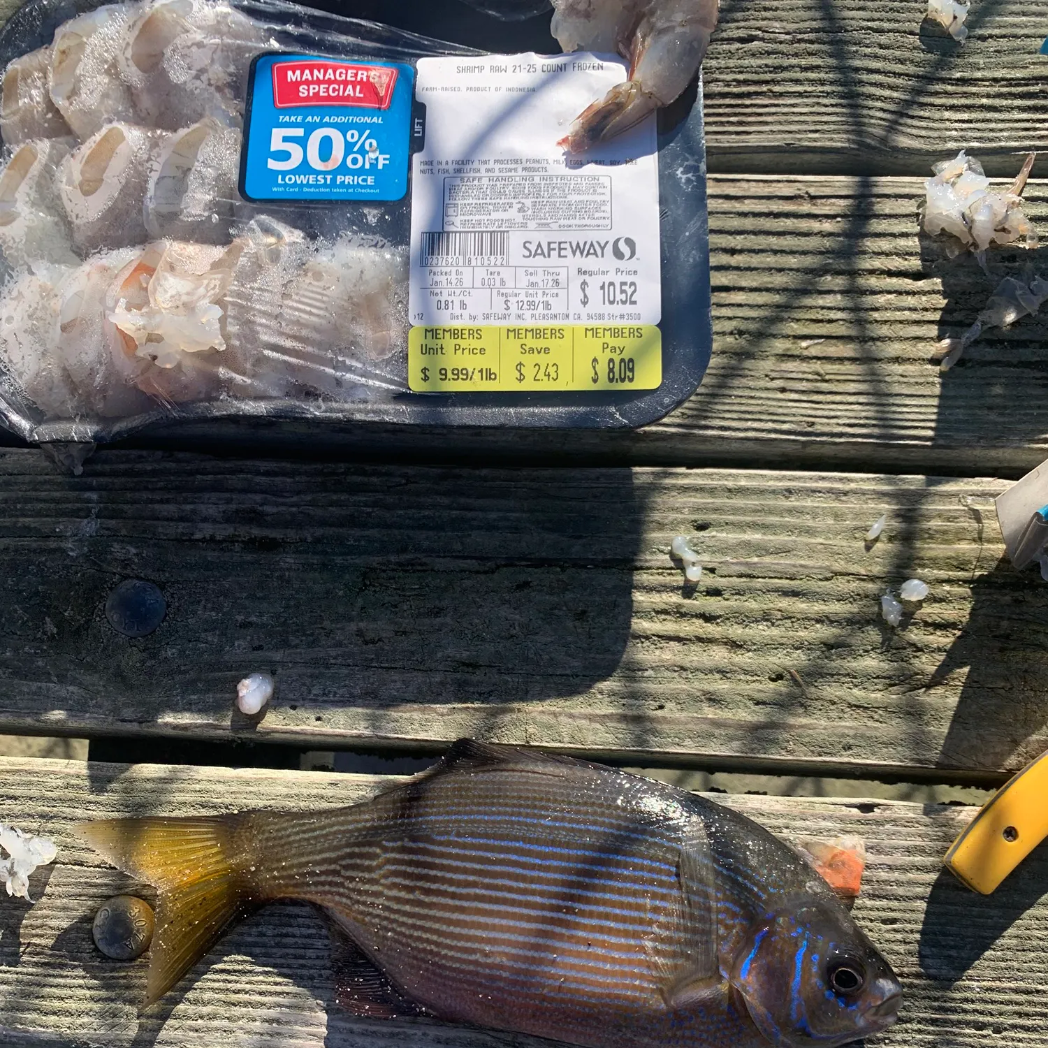 recently logged catches