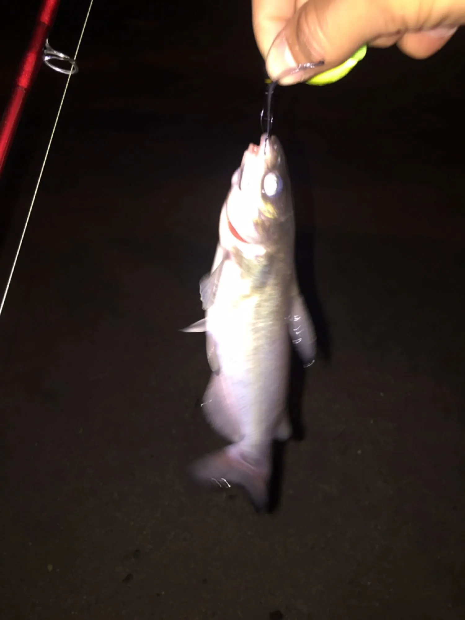 Post image from AgentS19