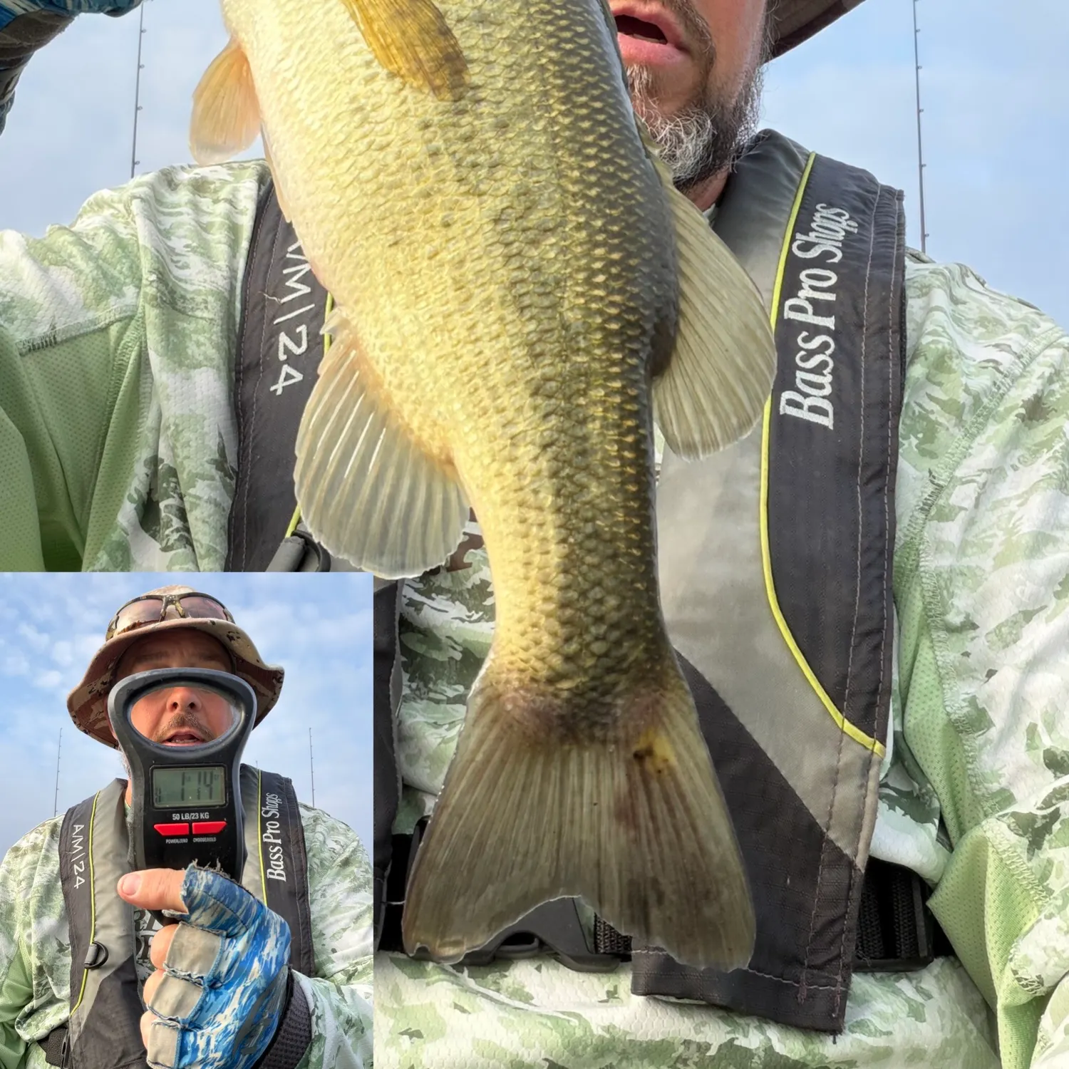 Largemouth bass caught on Fishbrain